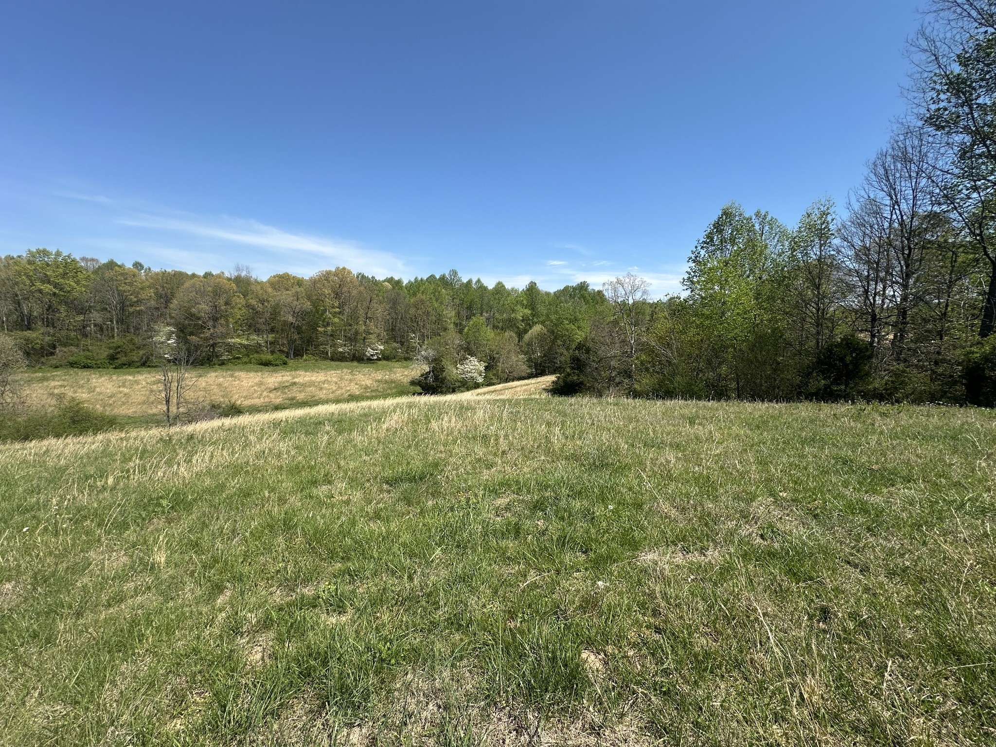515 Jericho Rd Property Photo 16