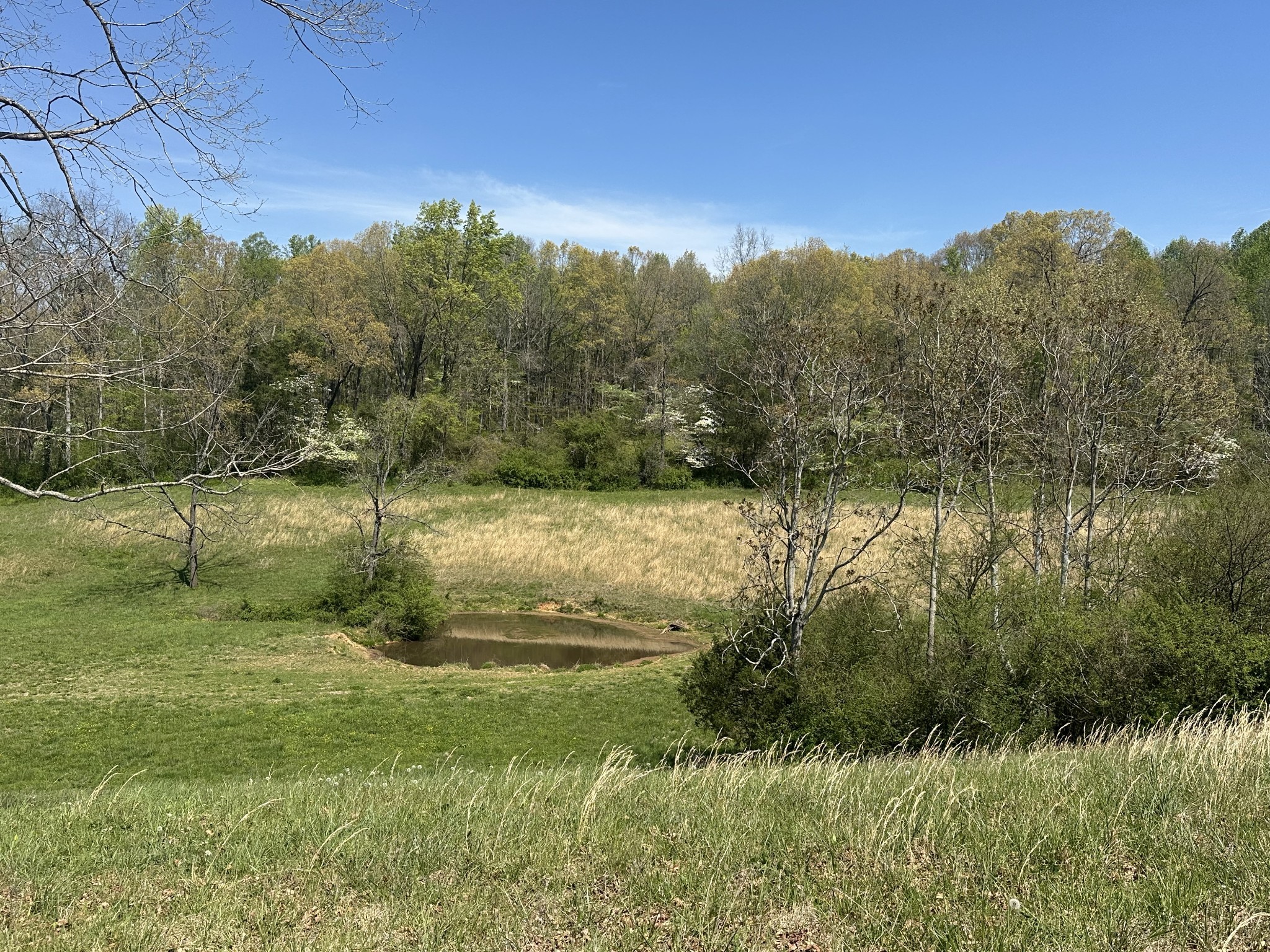 515 Jericho Rd Property Photo 17