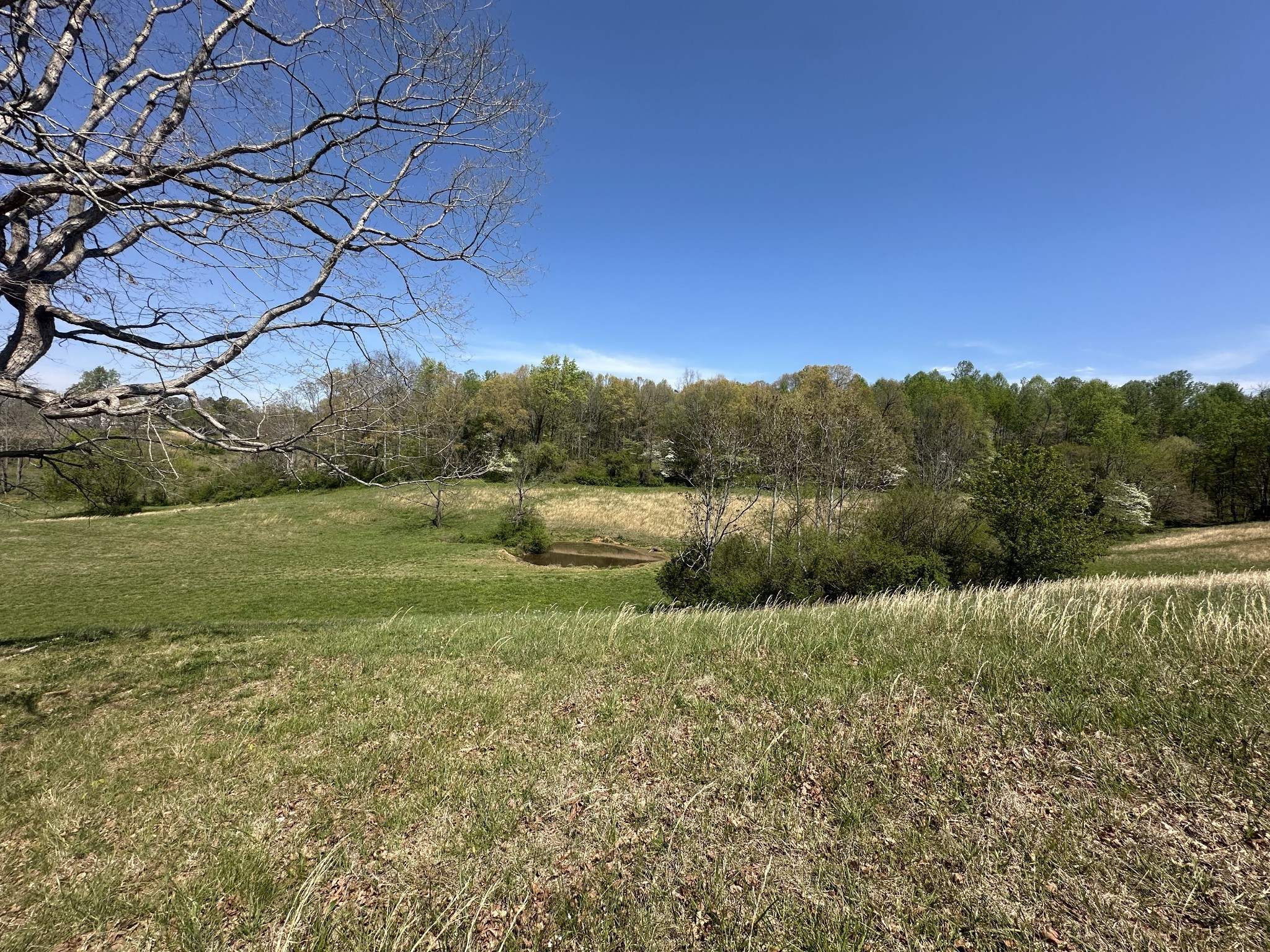 515 Jericho Rd Property Photo 18