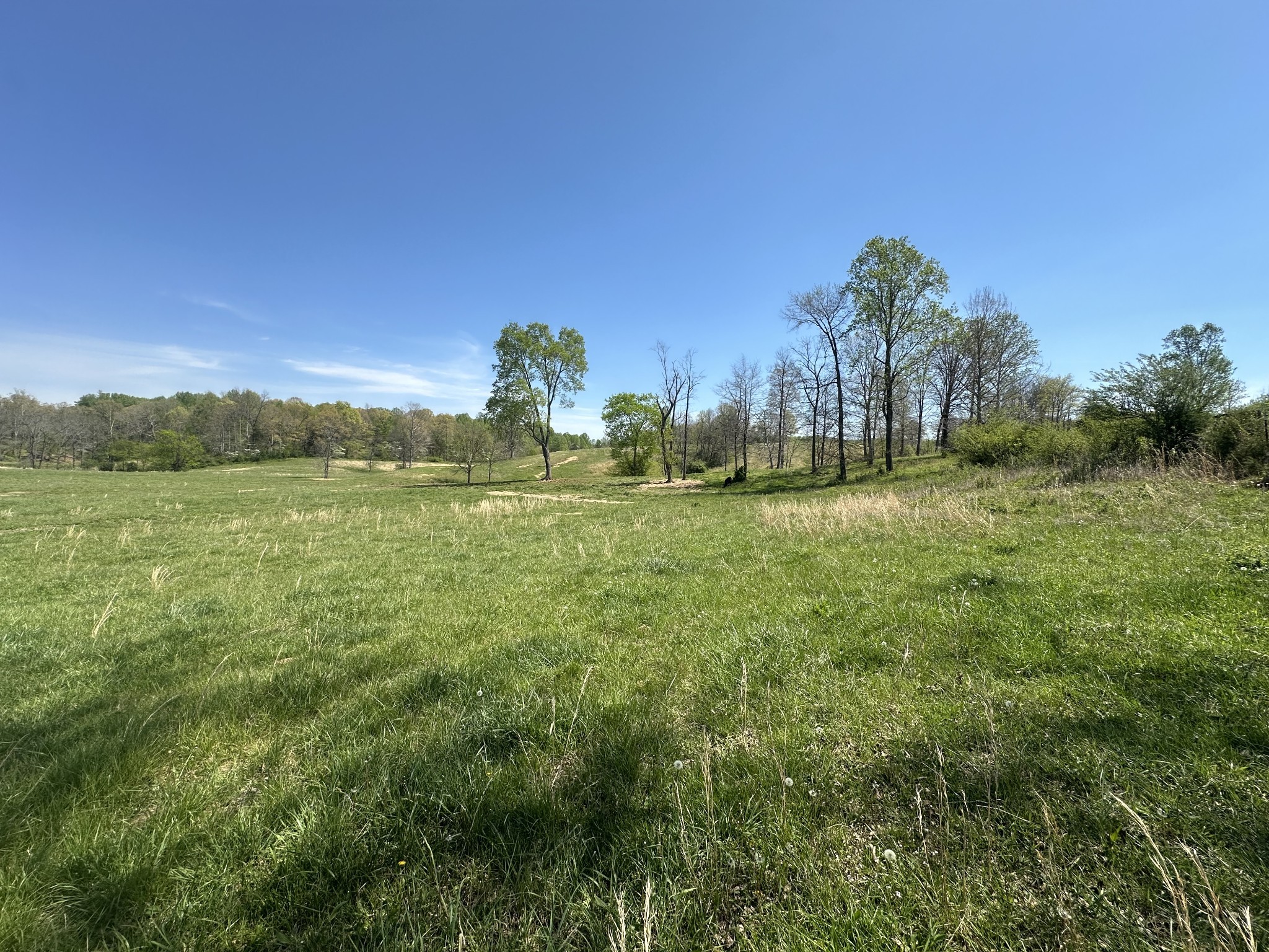 515 Jericho Rd Property Photo 18