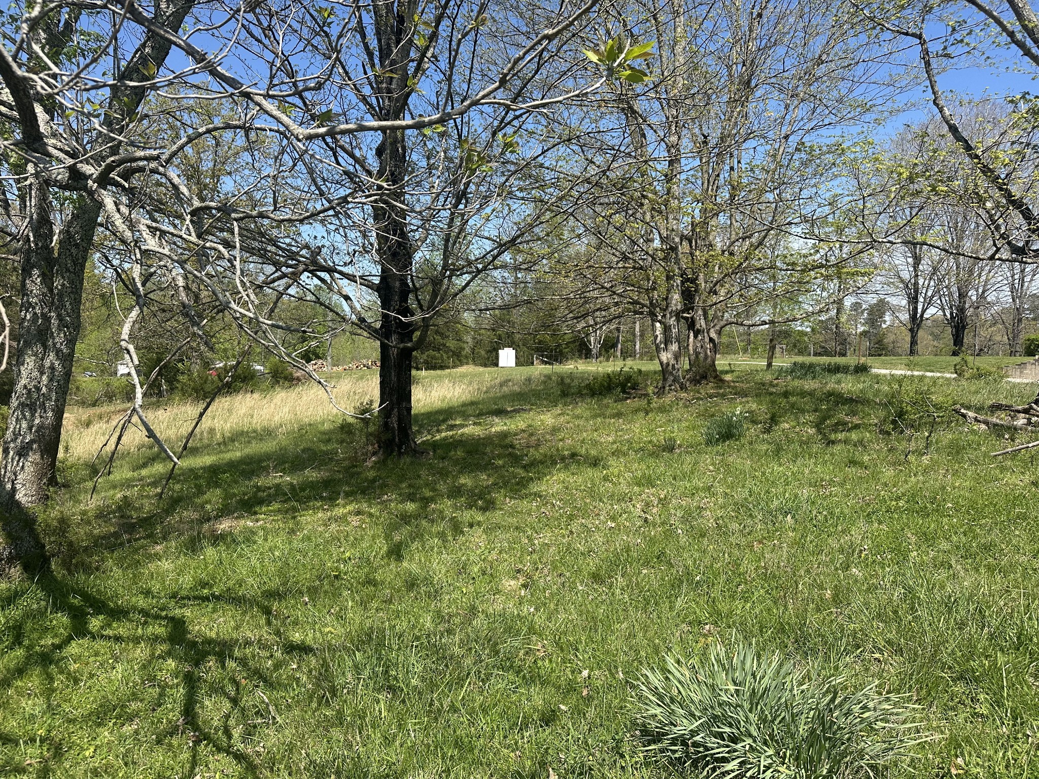 515 Jericho Rd Property Photo 25