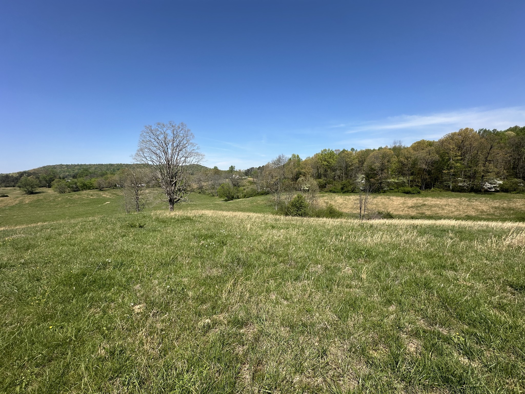 515 Jericho Rd Property Photo 27