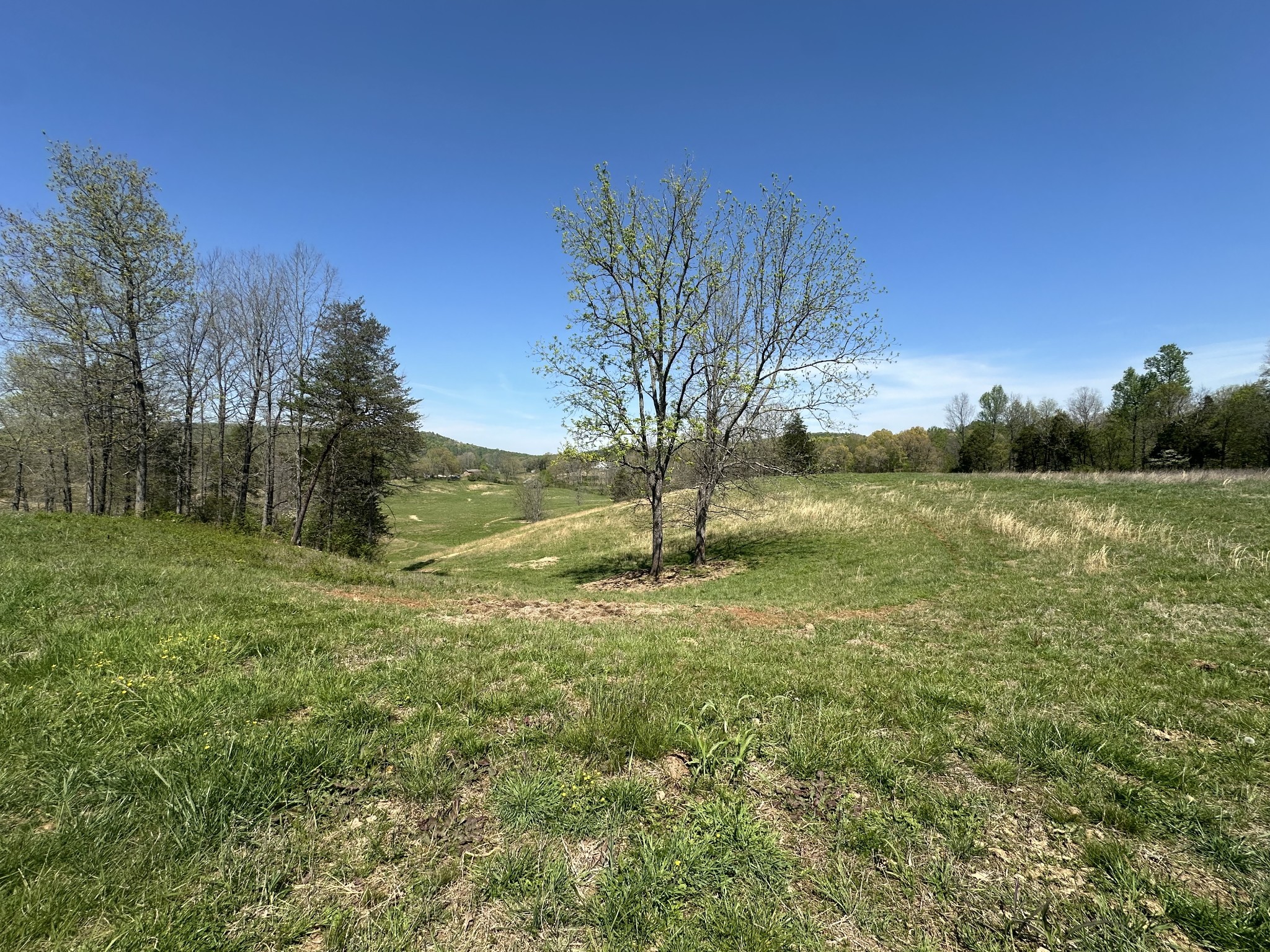 515 Jericho Rd Property Photo 30