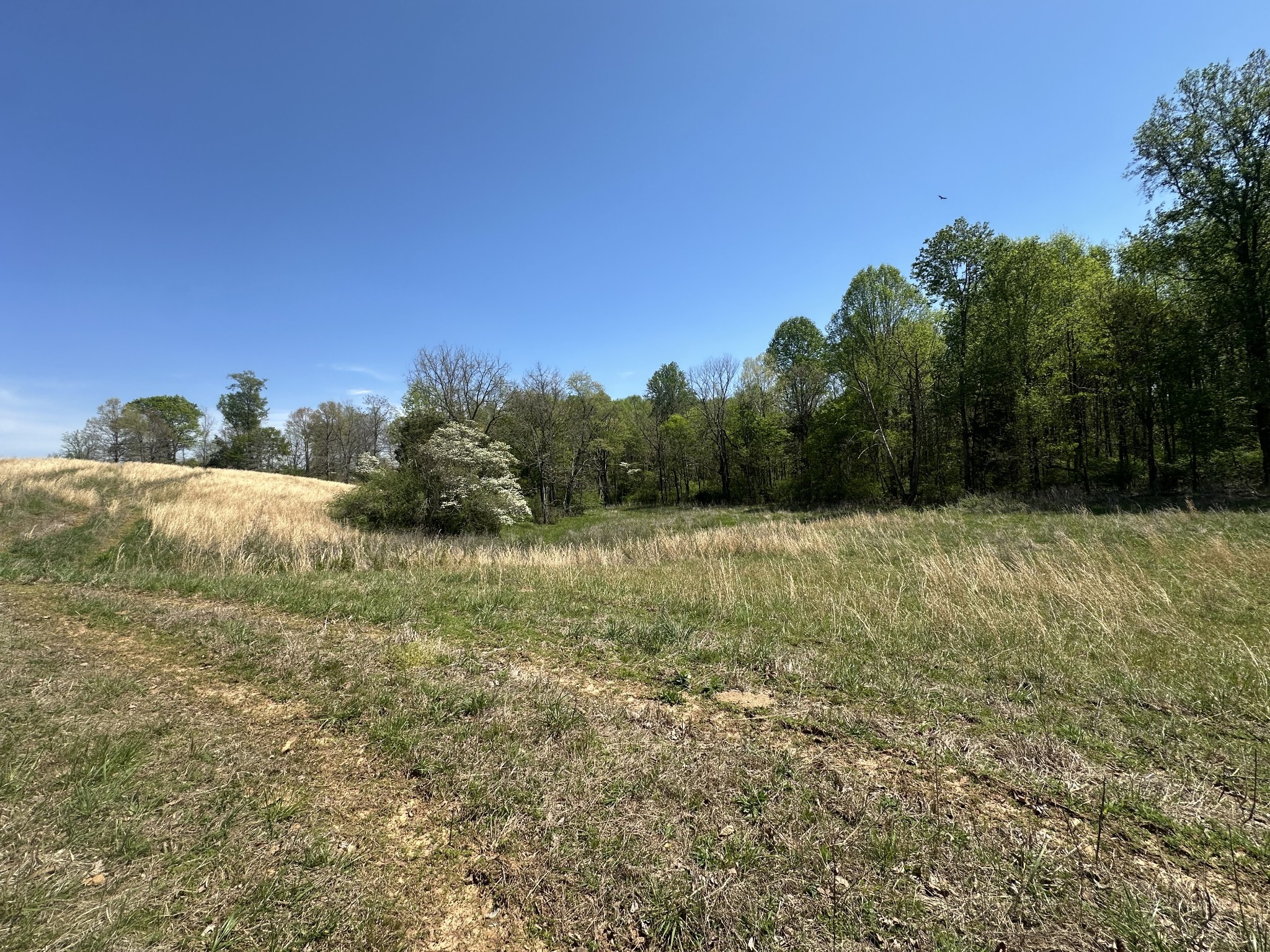 515 Jericho Rd Property Photo 36