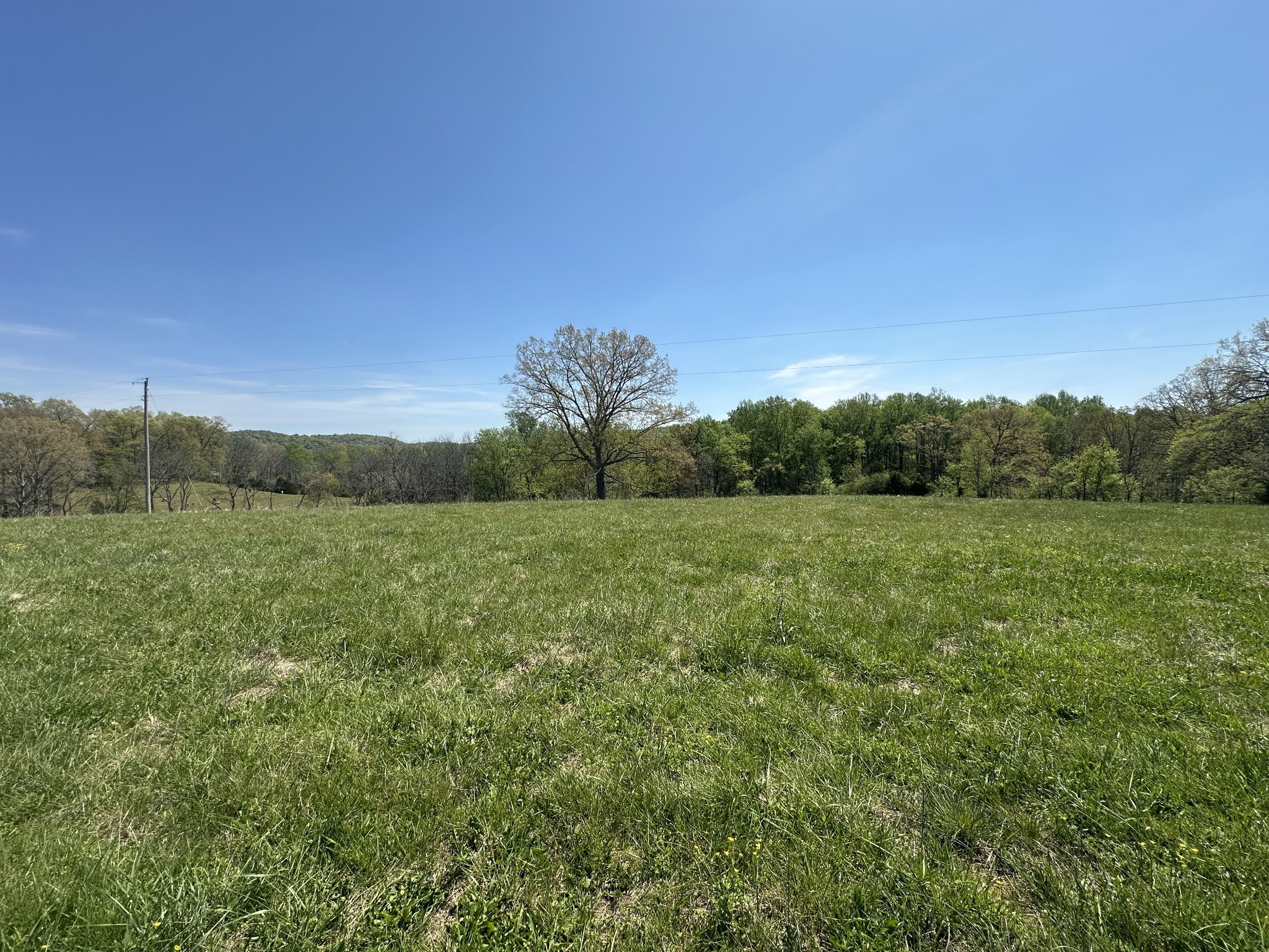 515 Jericho Rd Property Photo 15