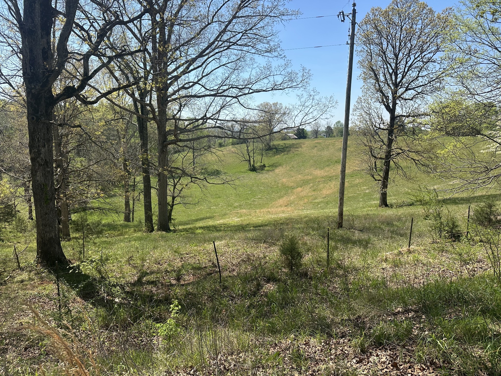 515 Jericho Rd Property Photo 14