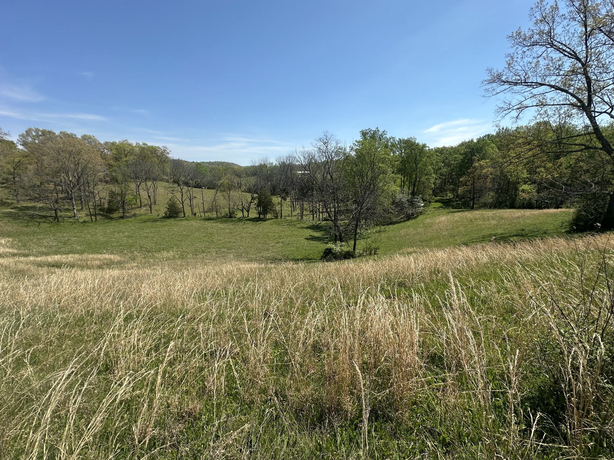 515 Jericho Rd Property Photo 16