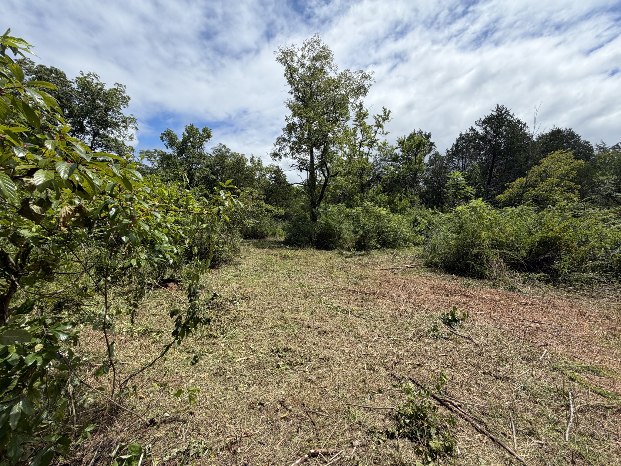 0 Woodbury Pike Property Photo 1