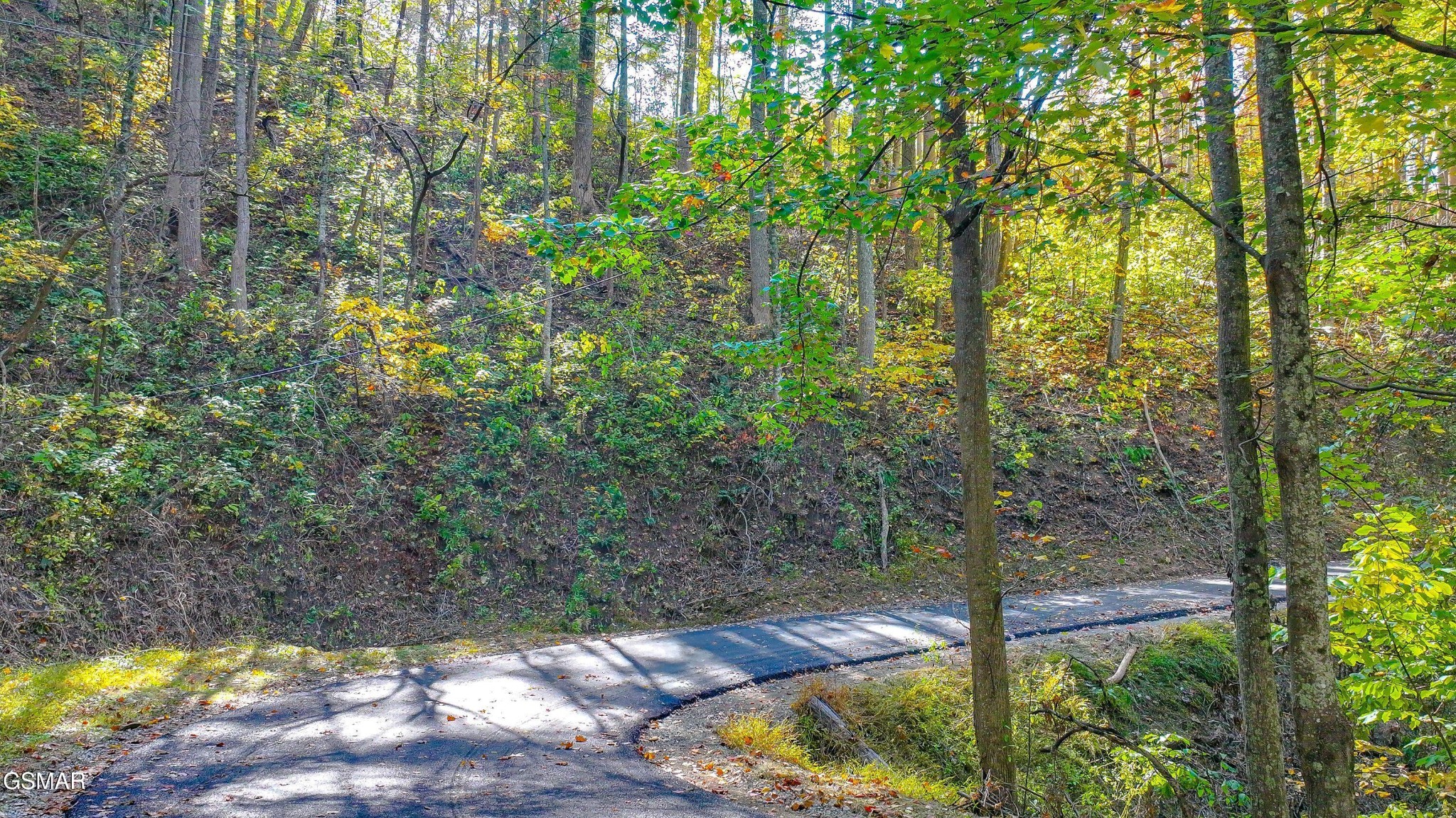 6 Emerald Springs Loop Property Photo 3