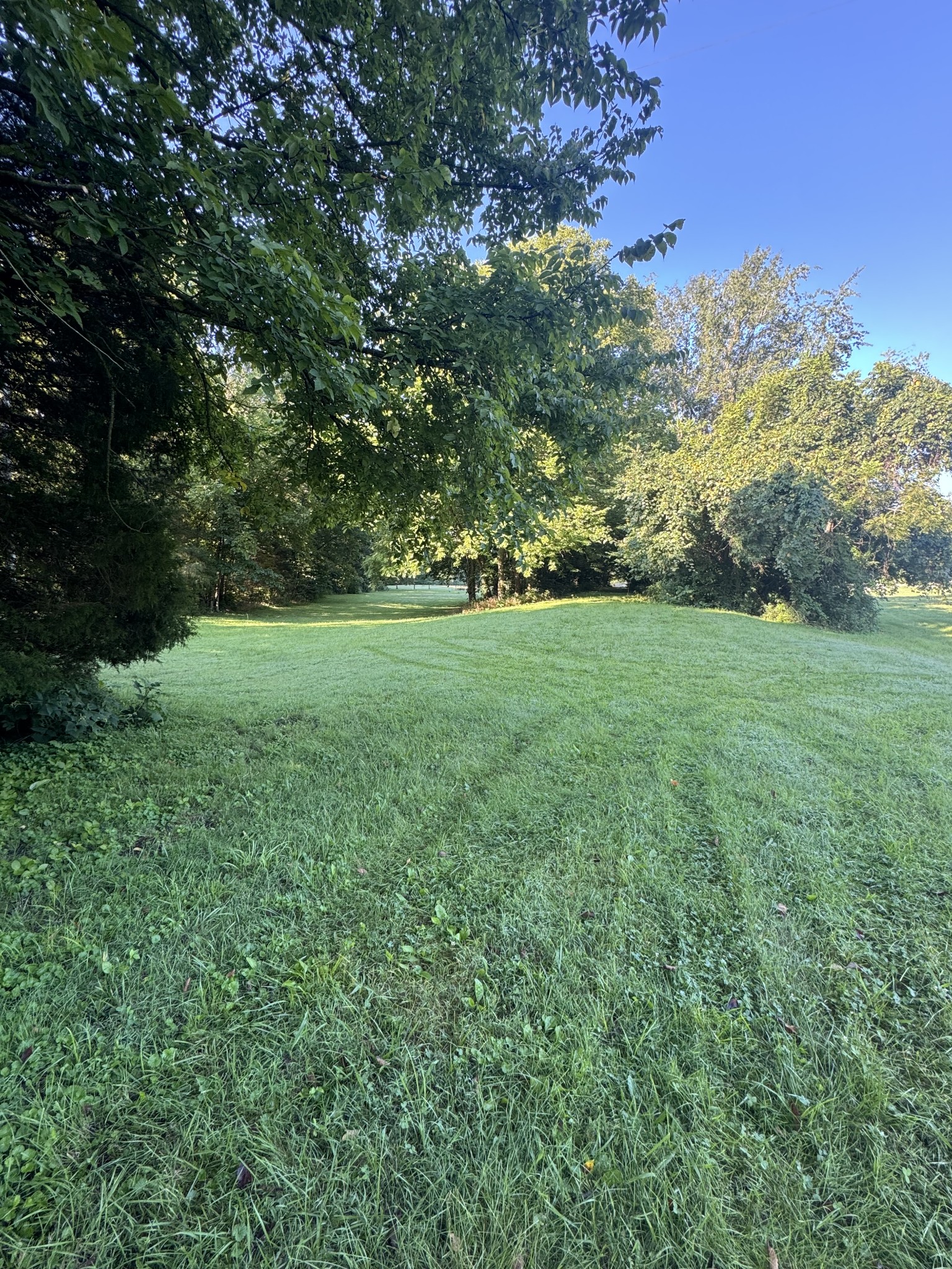 3992 Hwy 31e Property Photo 1