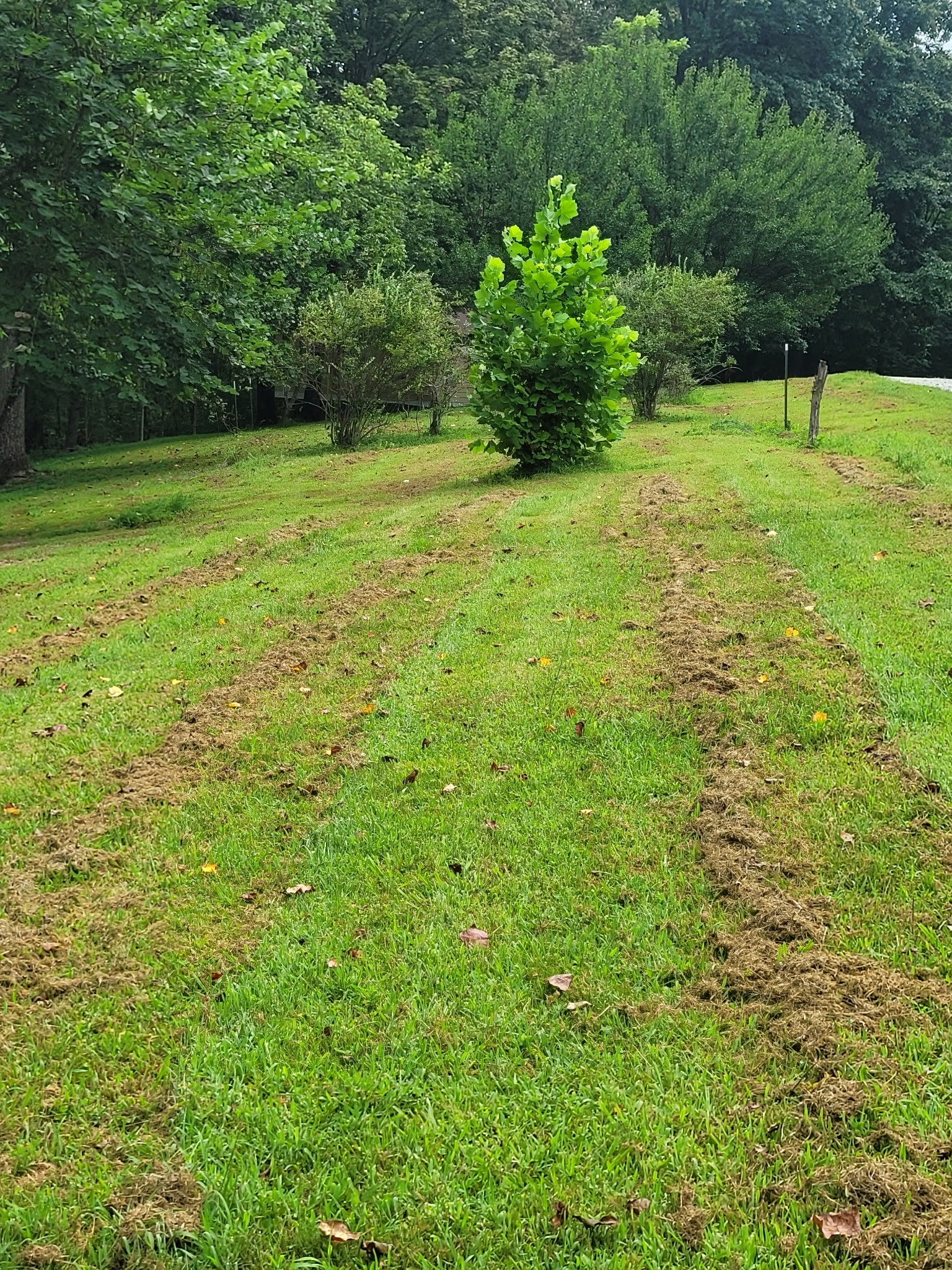 465 Sunset Ridge Ln Property Photo 4
