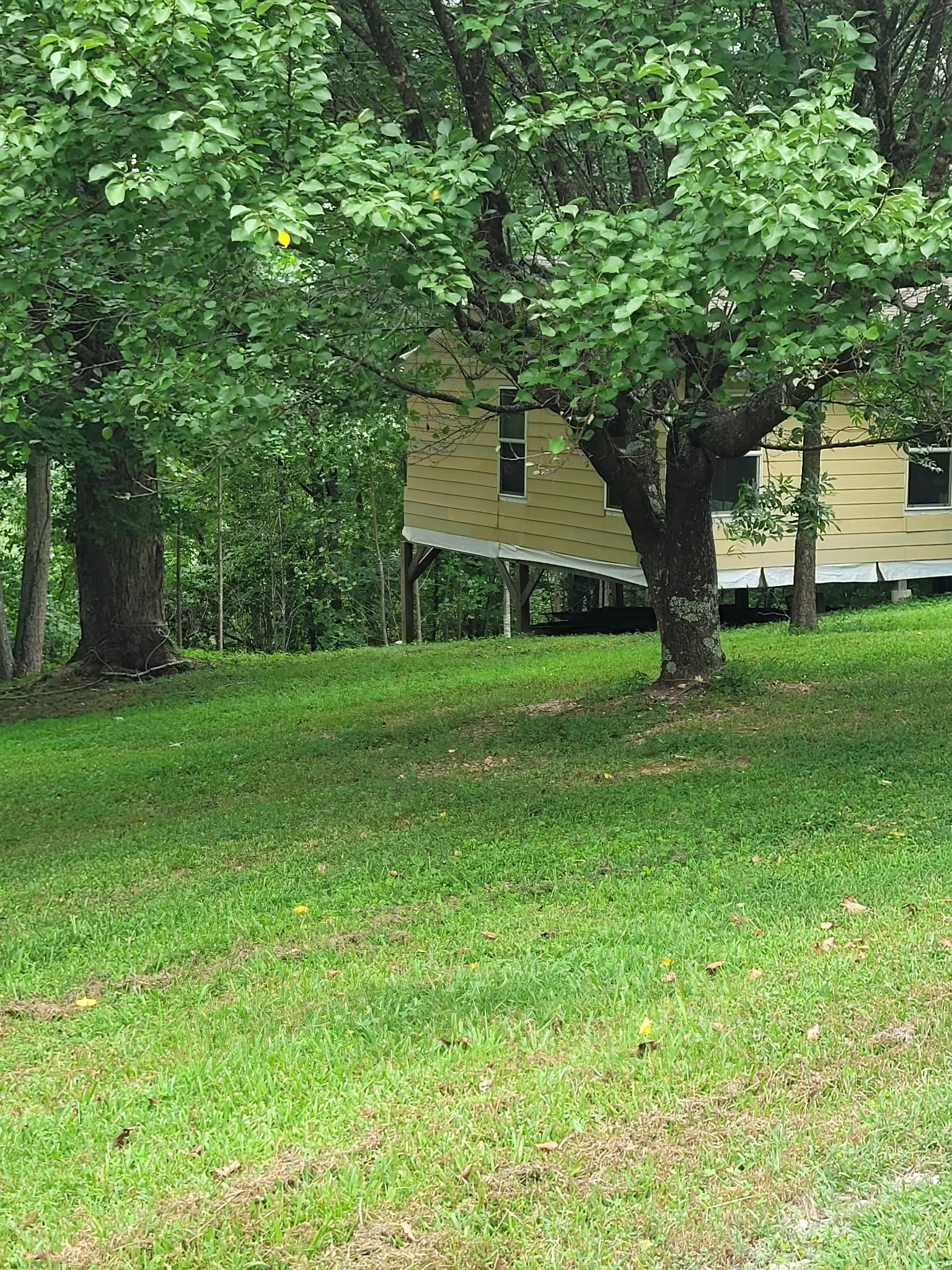 465 Sunset Ridge Ln Property Photo 5