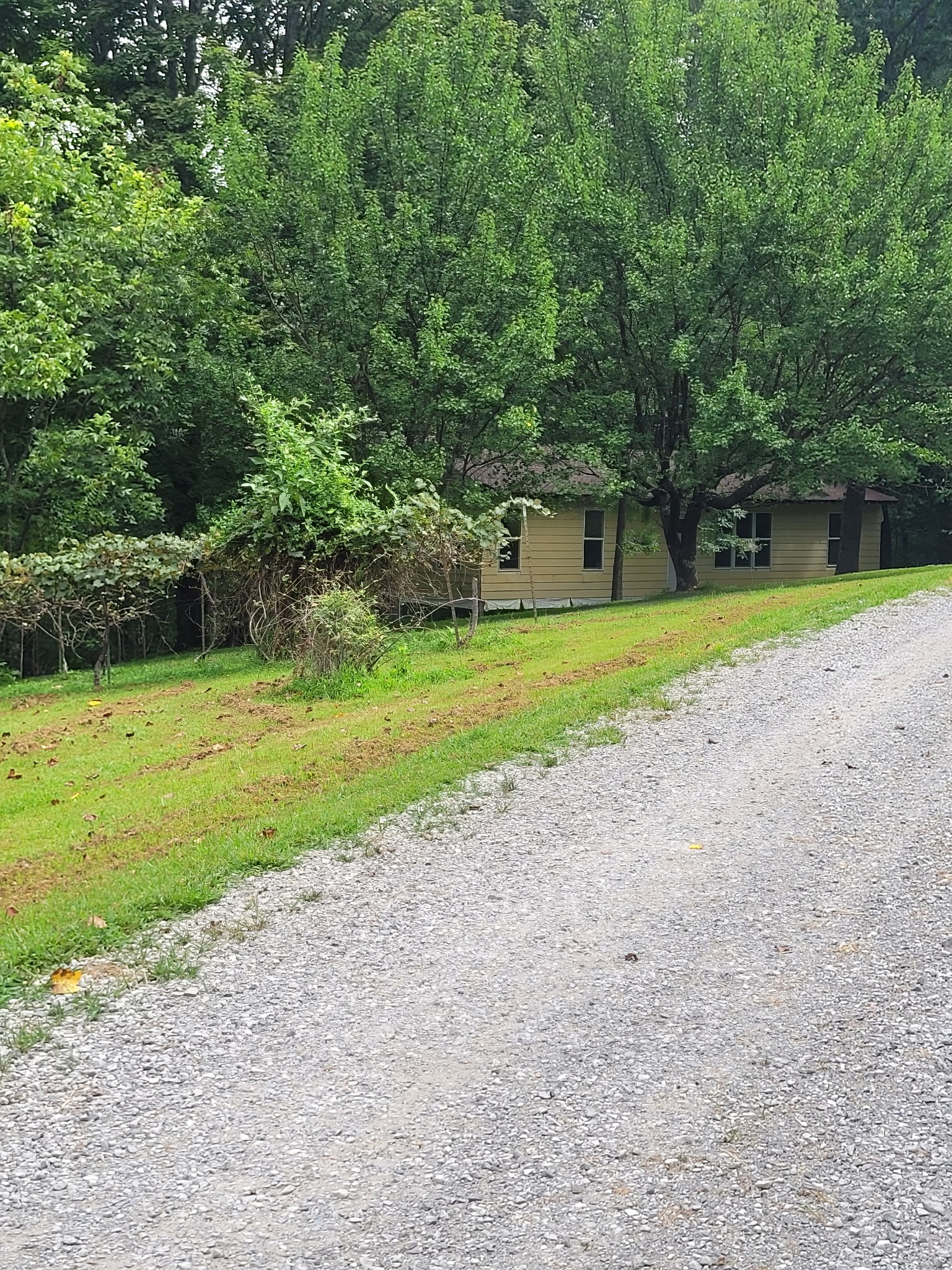 465 Sunset Ridge Ln Property Photo 6