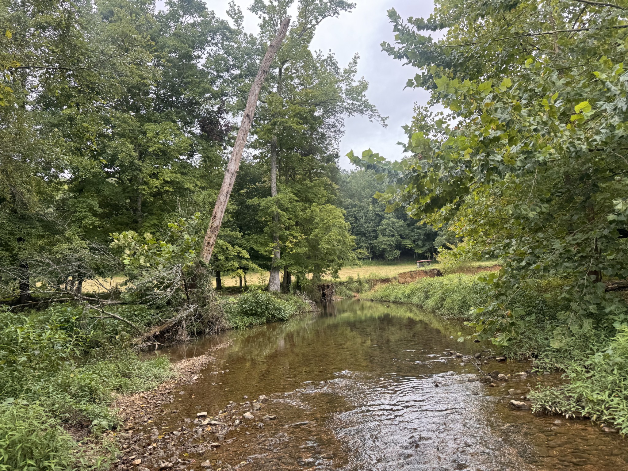 0 Upper Standing Rock Rd Property Photo 1