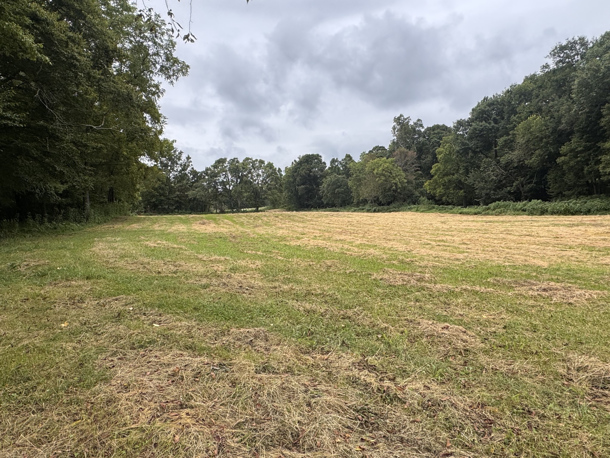 0 Upper Standing Rock Rd Property Photo 2