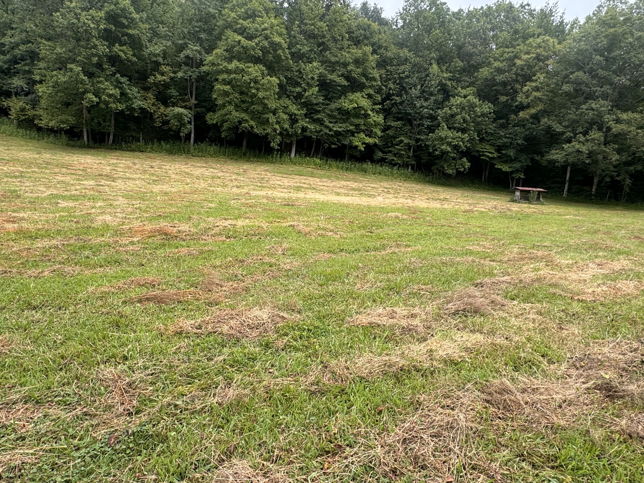 0 Upper Standing Rock Rd Property Photo 5