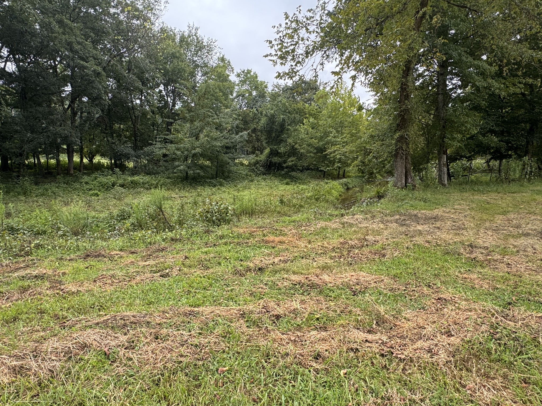 0 Upper Standing Rock Rd Property Photo 6