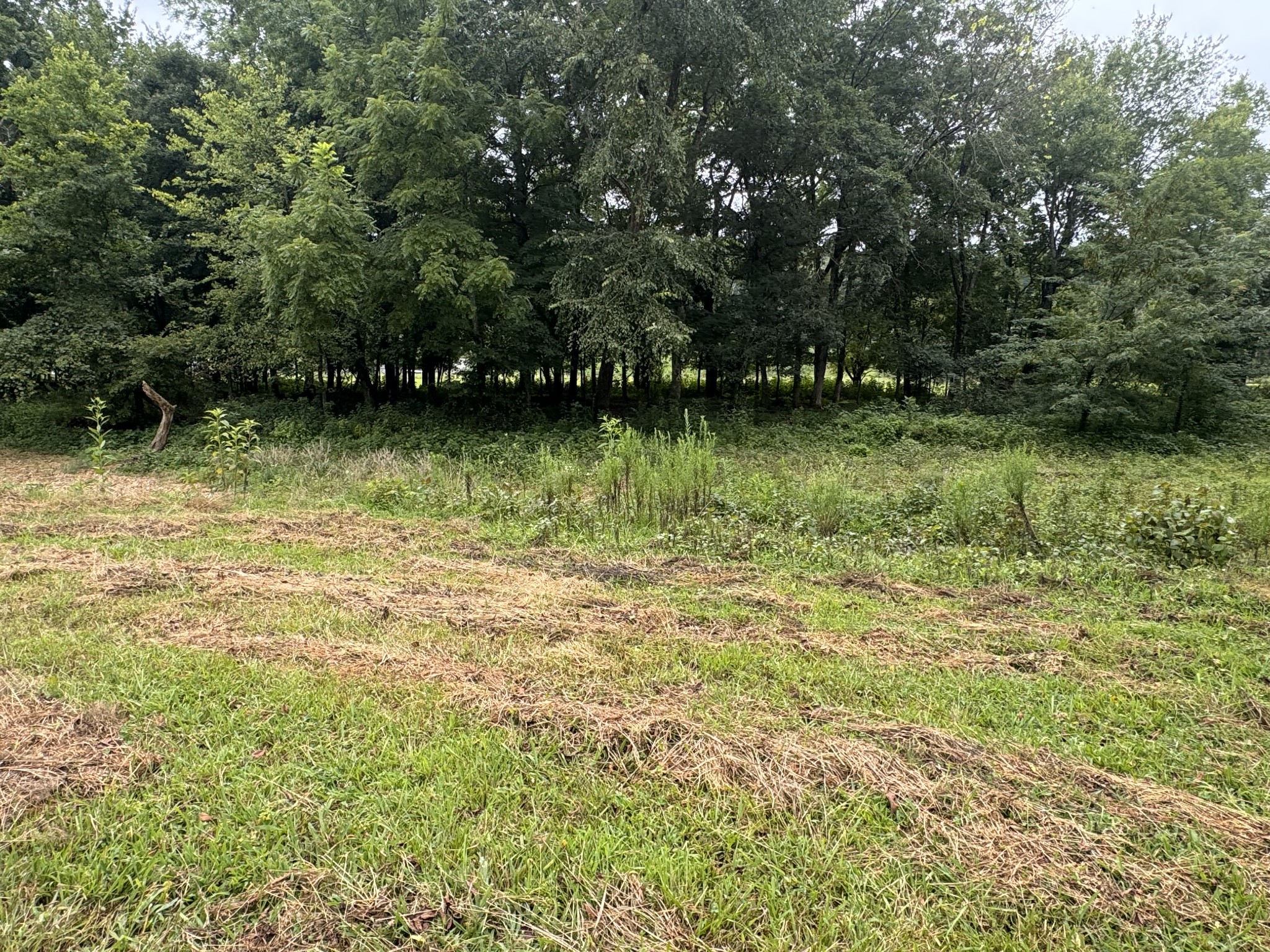 0 Upper Standing Rock Rd Property Photo 7