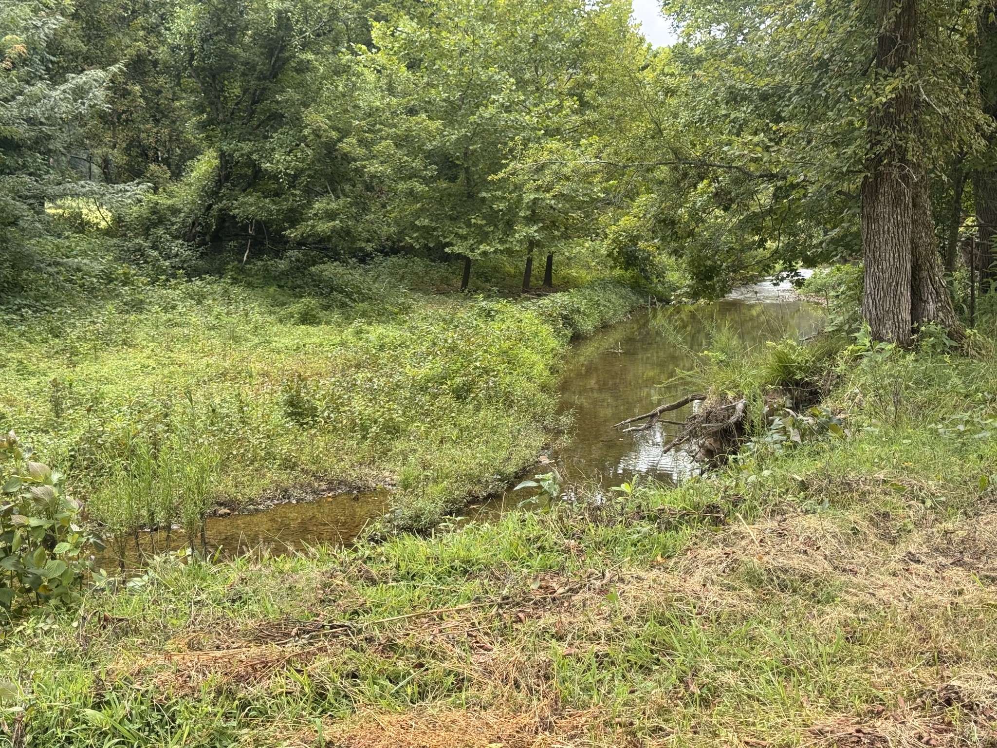 0 Upper Standing Rock Rd Property Photo 8