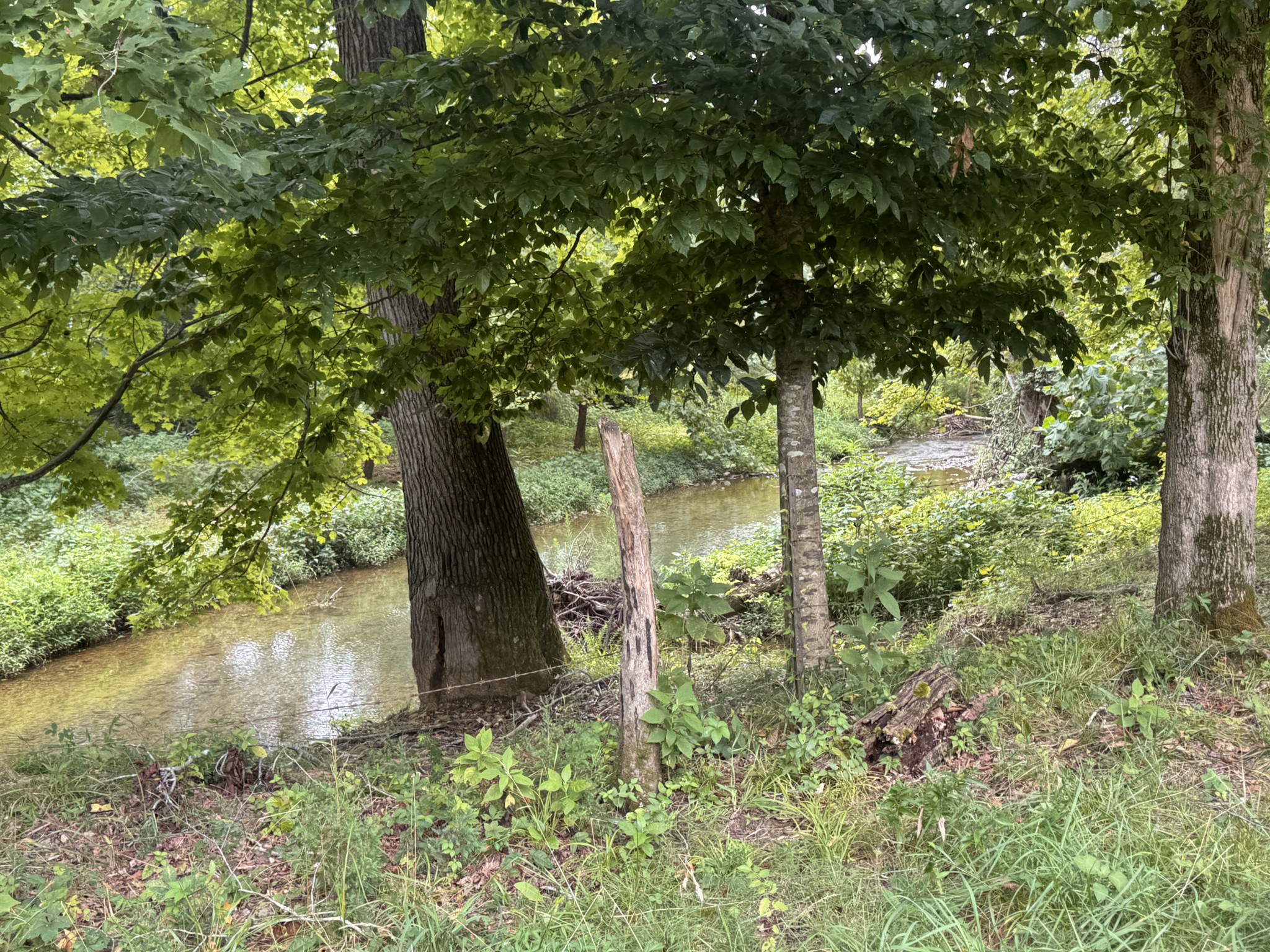 0 Upper Standing Rock Rd Property Photo 9