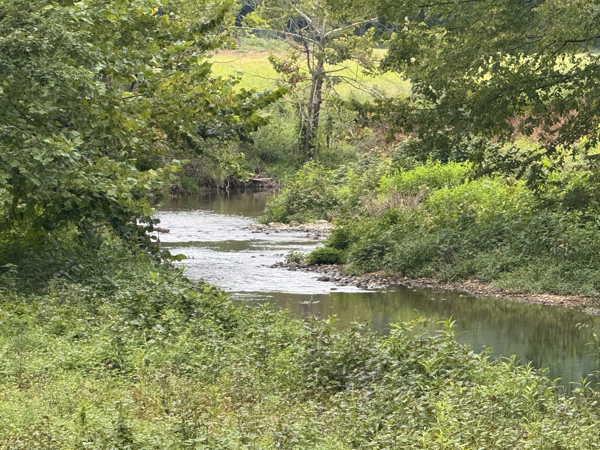0 Upper Standing Rock Rd Property Photo 10