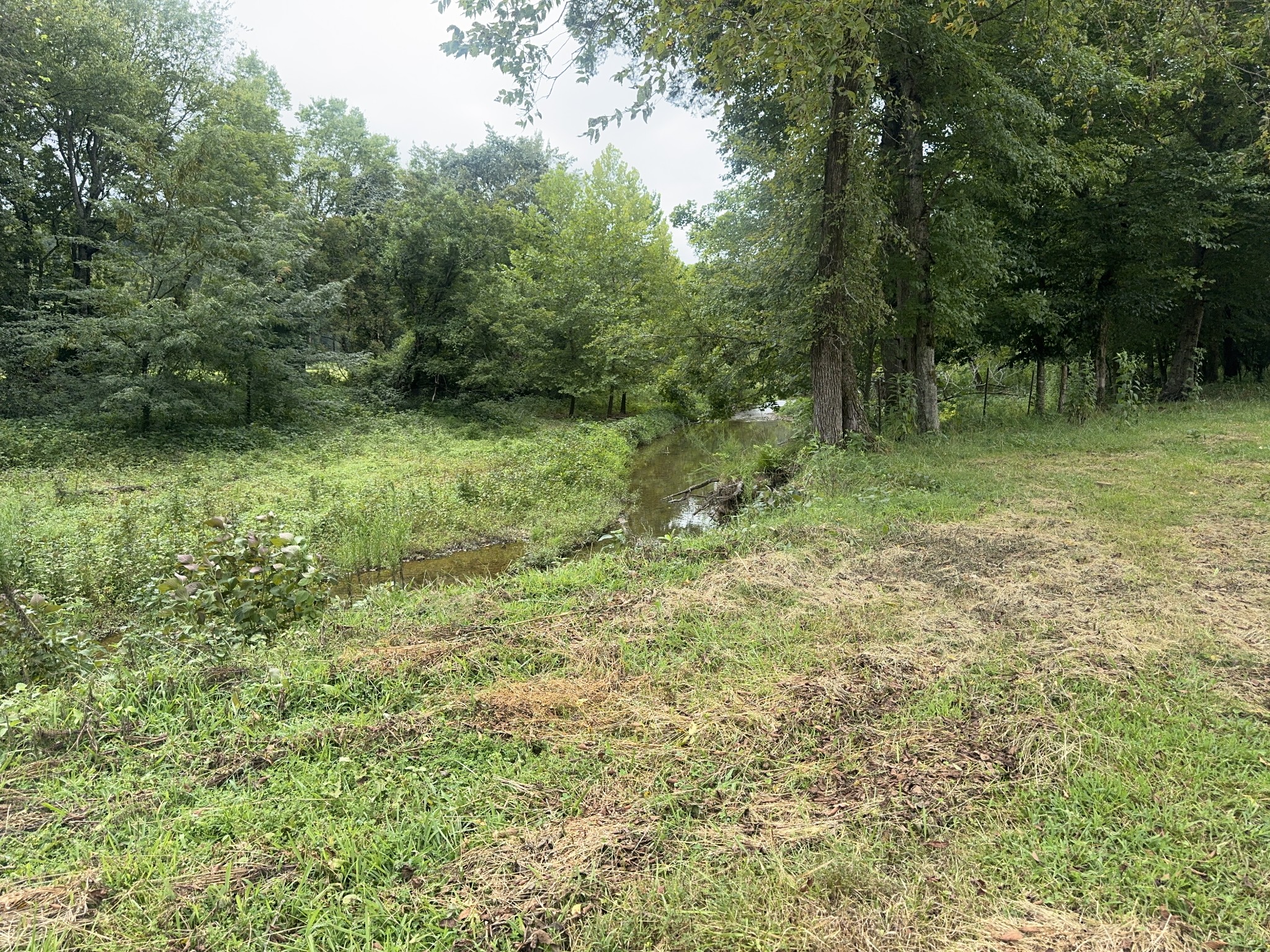 0 Upper Standing Rock Rd Property Photo 12