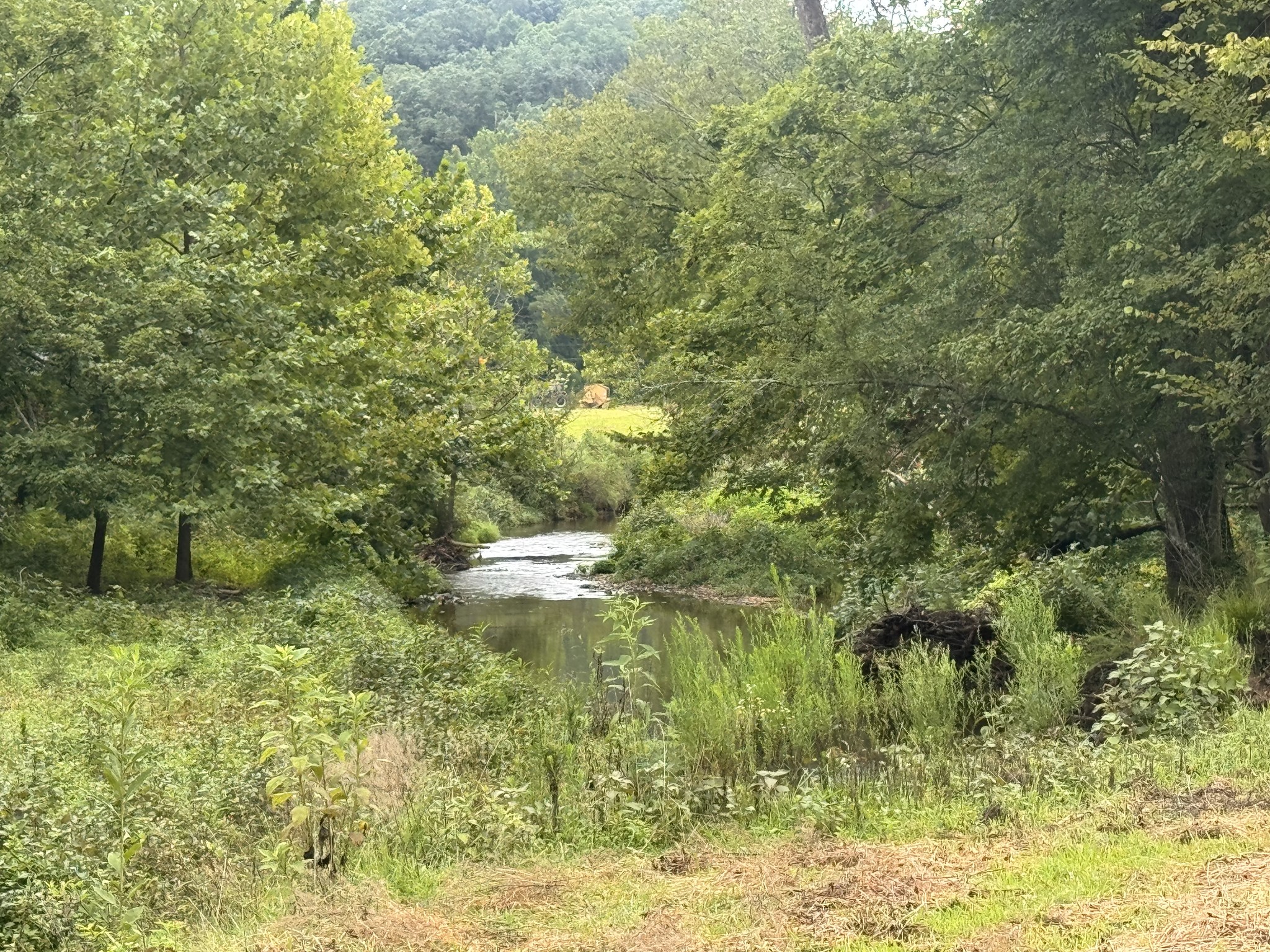 0 Upper Standing Rock Rd Property Photo 13