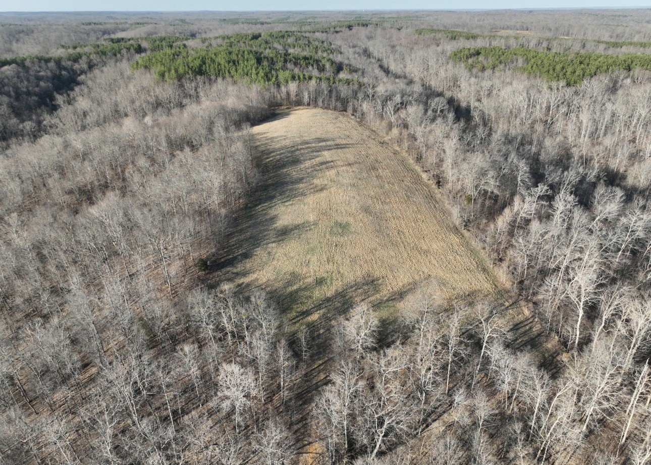 0 Upper Standing Rock Rd Property Photo 15