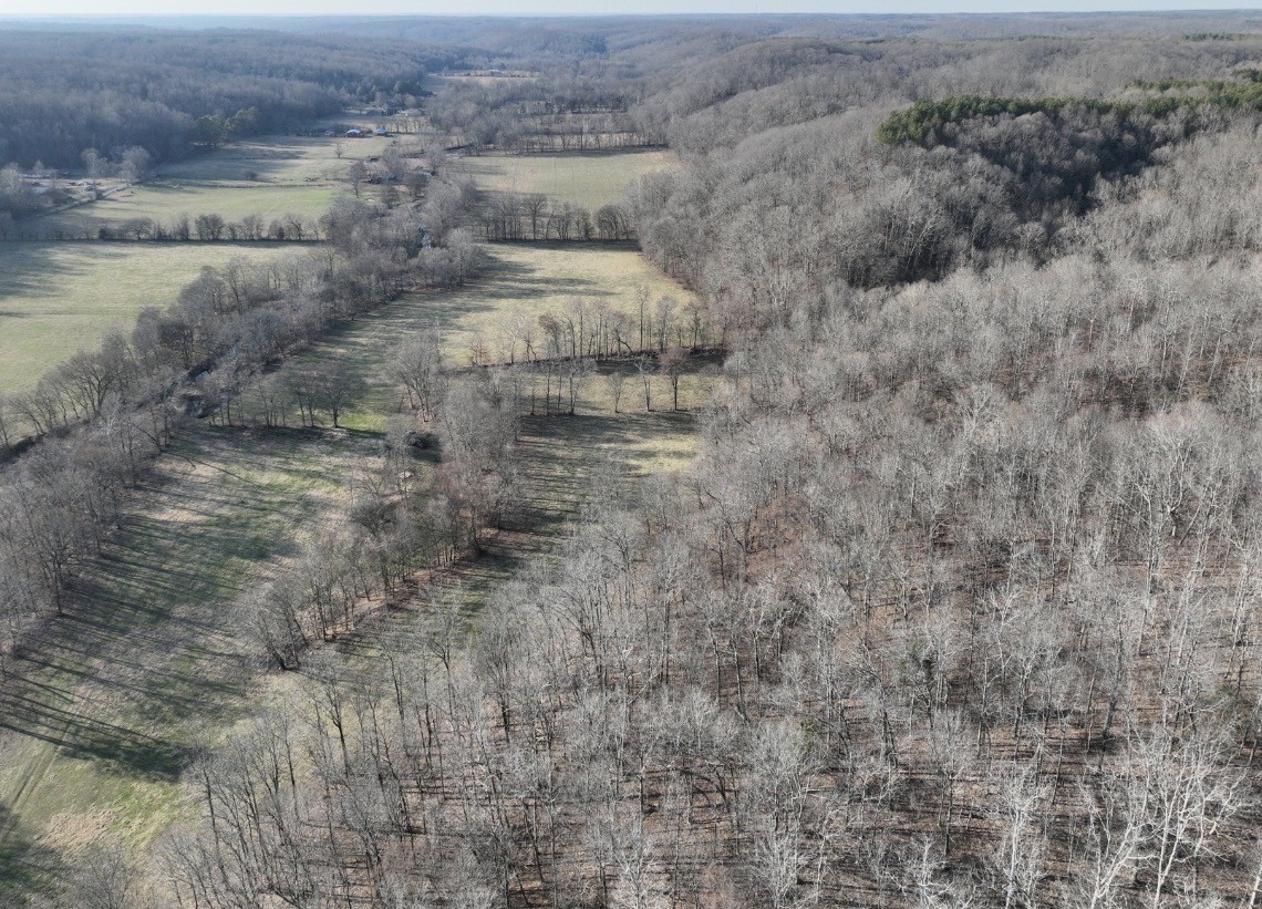 0 Upper Standing Rock Rd Property Photo 17