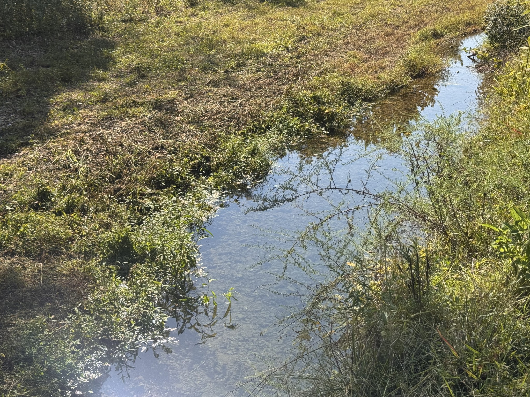 0 Upper Standing Rock Rd Property Photo 19