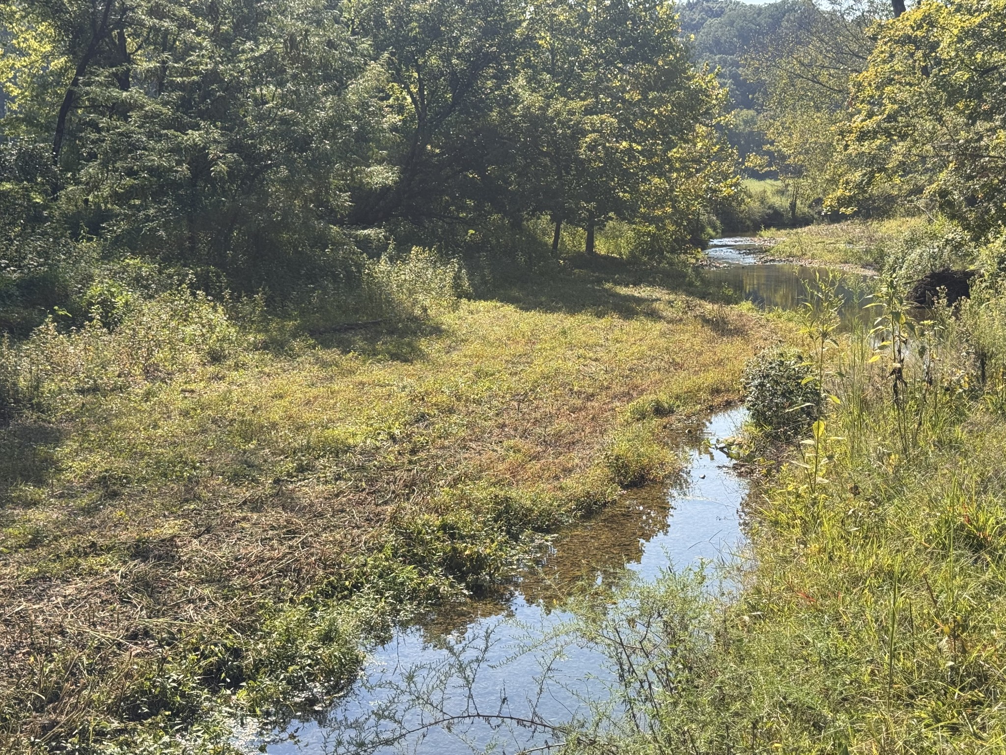 0 Upper Standing Rock Rd Property Photo 21