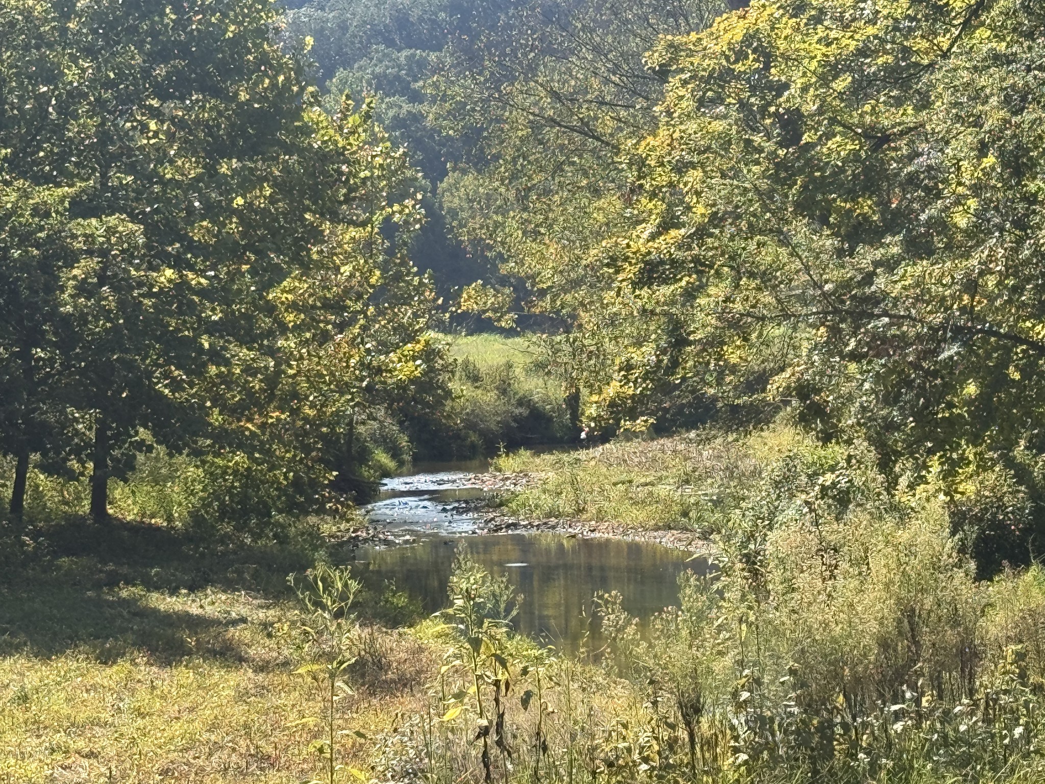 0 Upper Standing Rock Rd Property Photo 29
