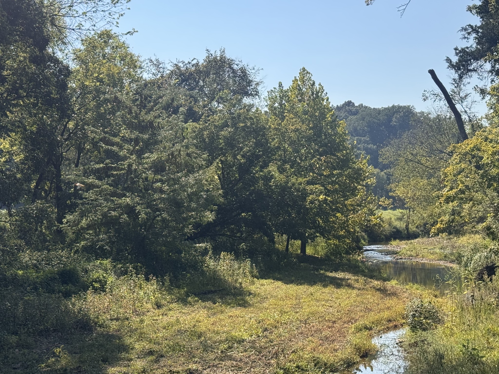 0 Upper Standing Rock Rd Property Photo 30