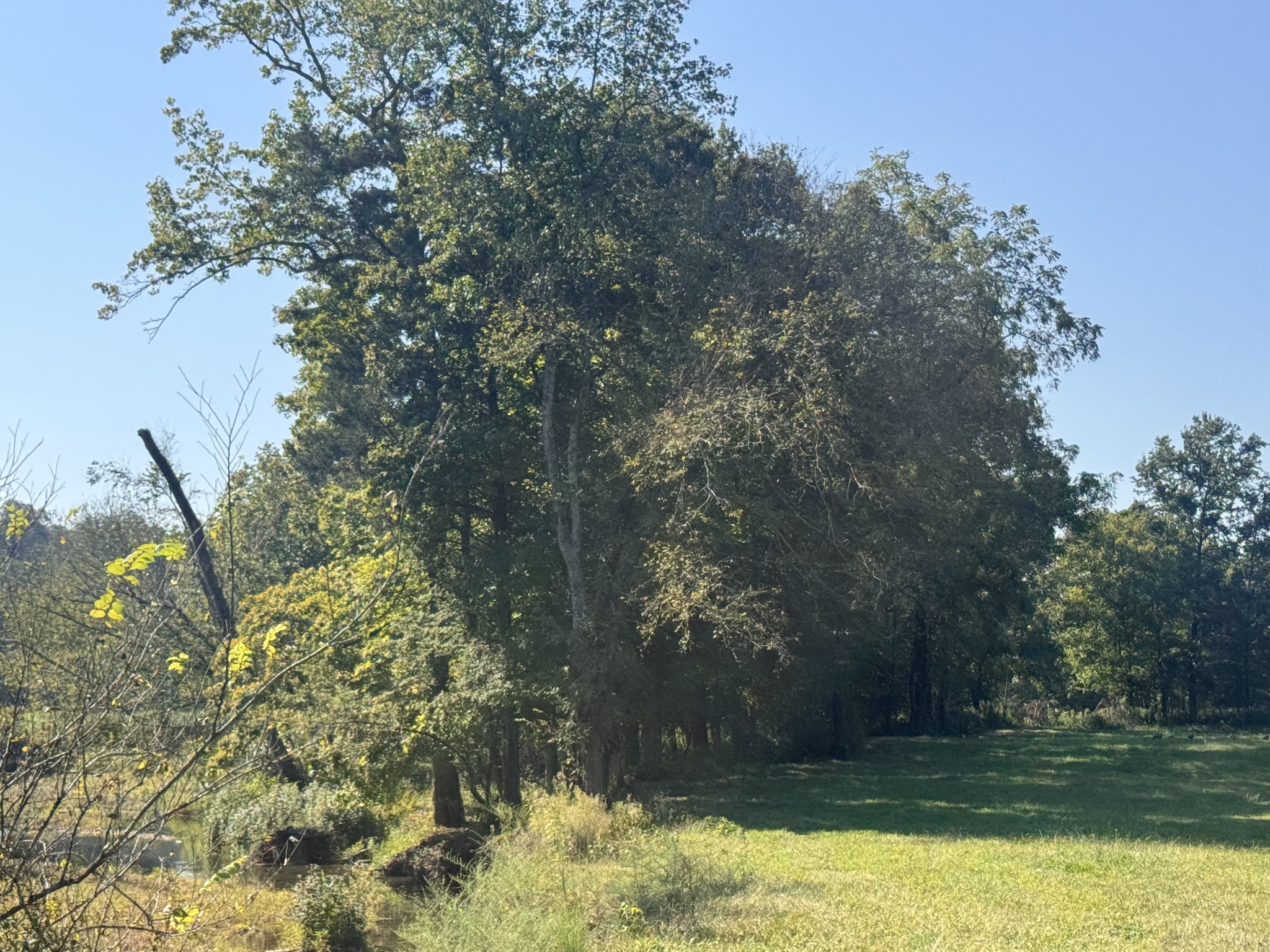 0 Upper Standing Rock Rd Property Photo 31