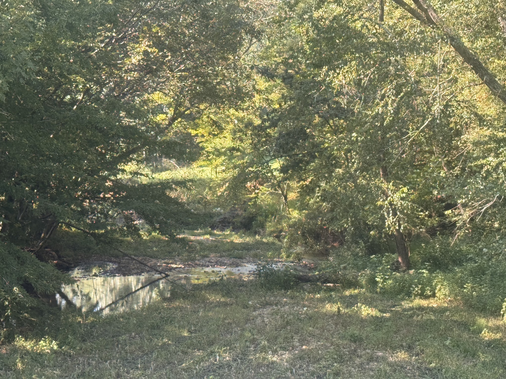 0 Upper Standing Rock Rd Property Photo 32