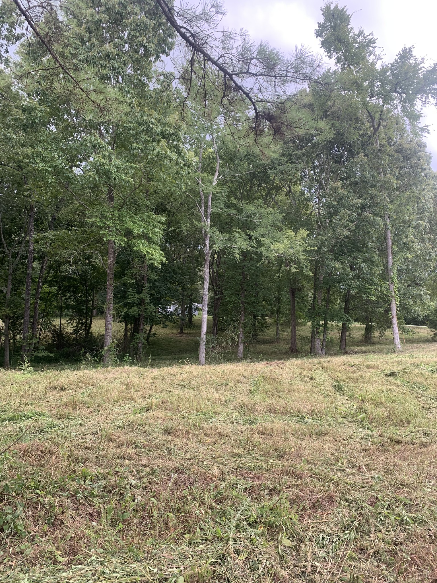 5 Grice Rd Property Photo 1