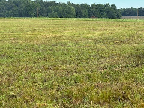 0 Rushing Road Property Photo 1