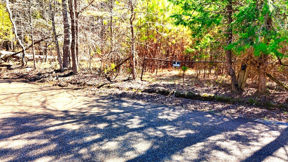 0 Bishop Rd Property Photo 3