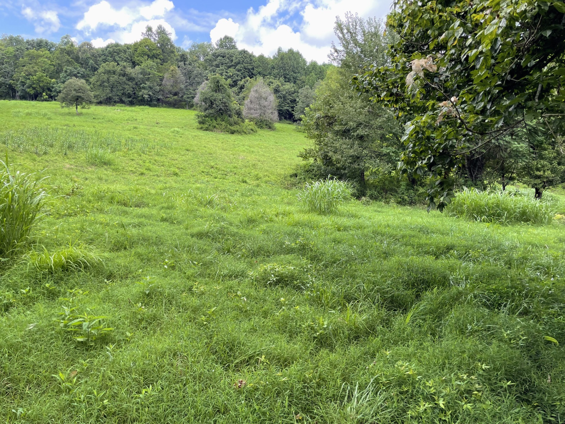 6461 Hwy 48 N Property Photo 1