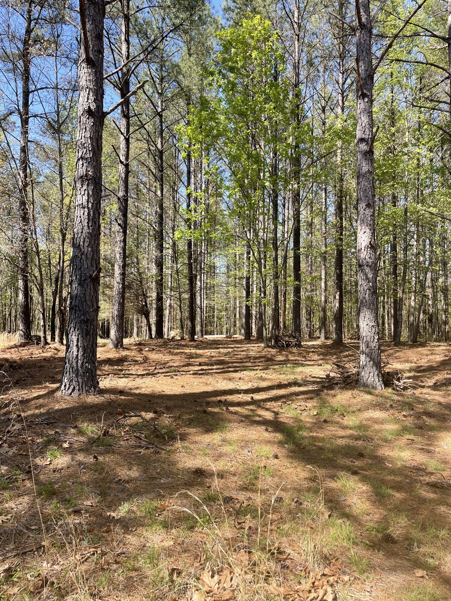 1001 Bj Rd Property Photo 8