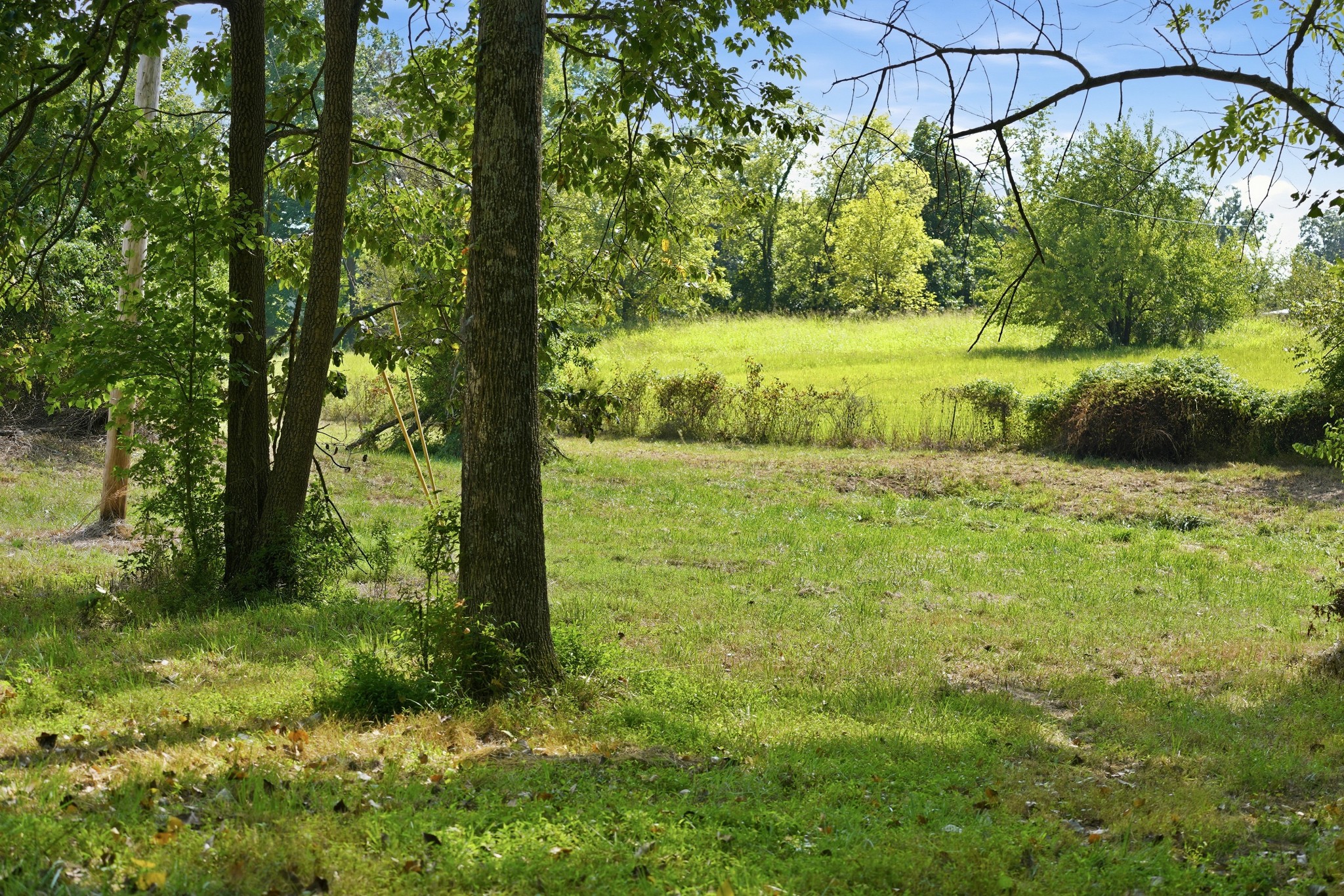 4854 Rock House Rd Property Photo 75