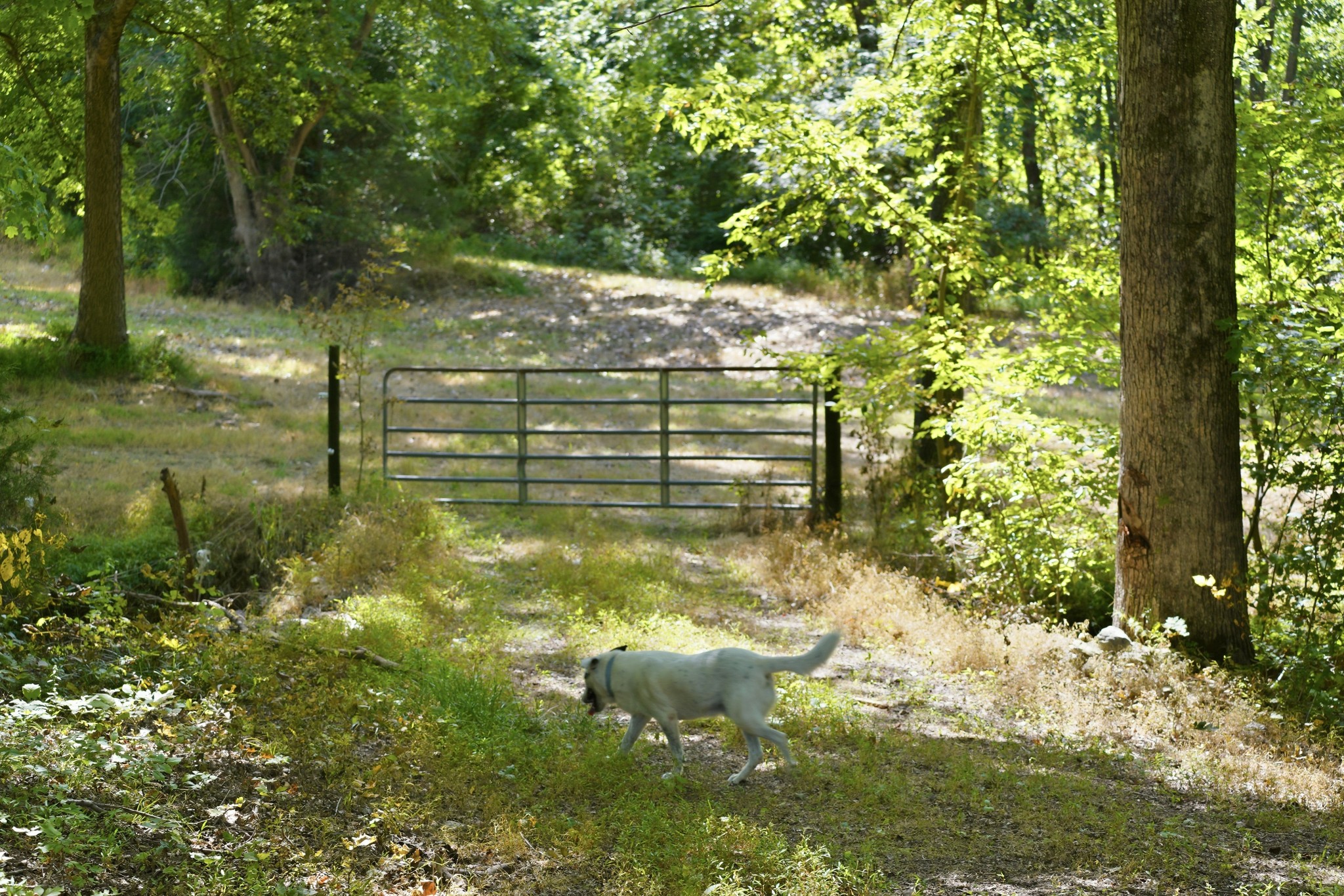 4854 Rock House Rd Property Photo 94