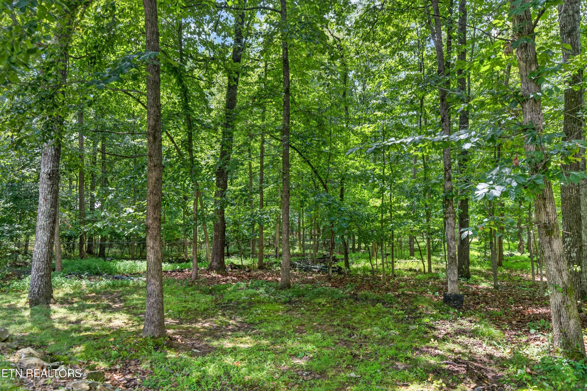 36 Druid Circle Property Photo 6