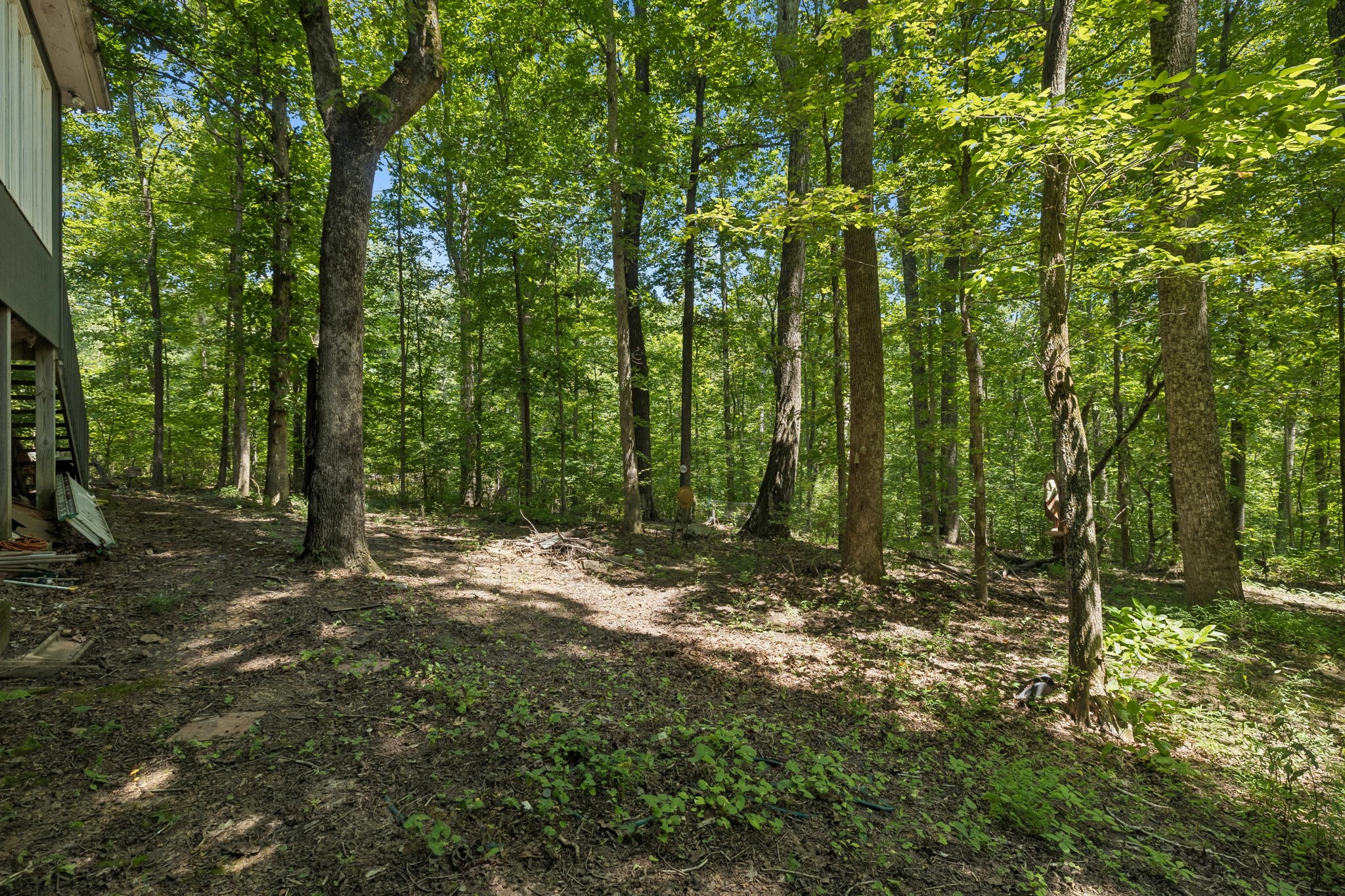 107 Timber Run Trl Property Photo 58