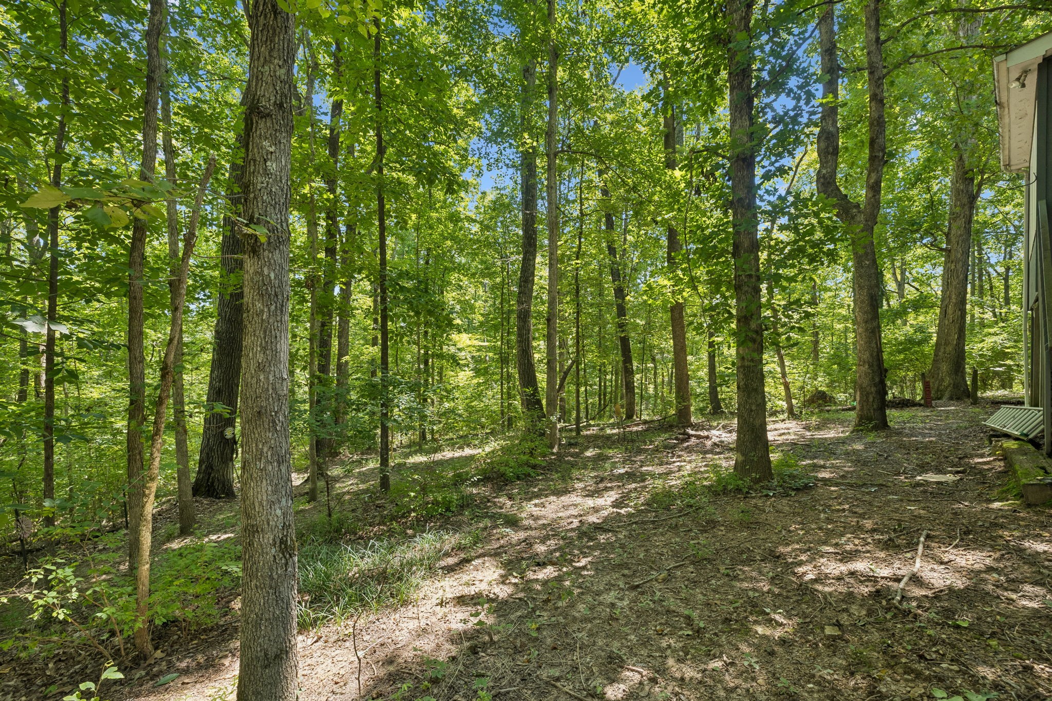 107 Timber Run Trl Property Photo 59