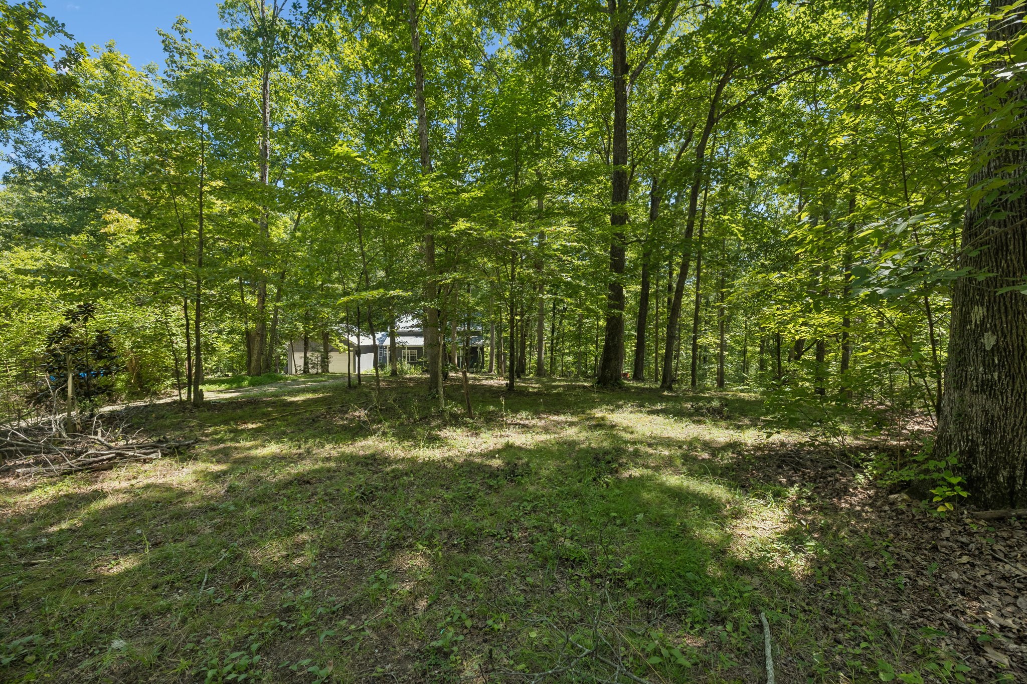 107 Timber Run Trl Property Photo 60