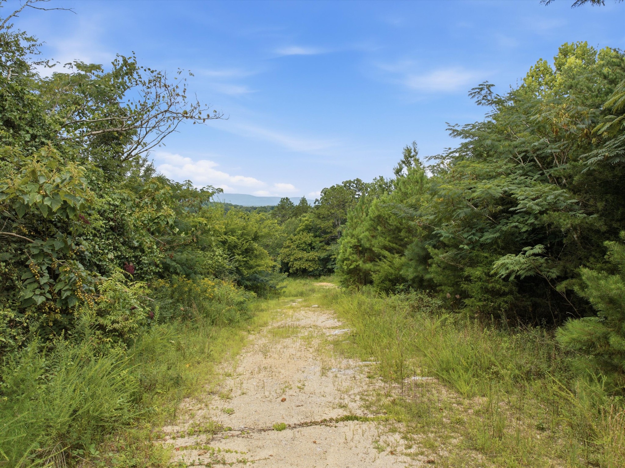 0 Arnold Road Property Photo 3