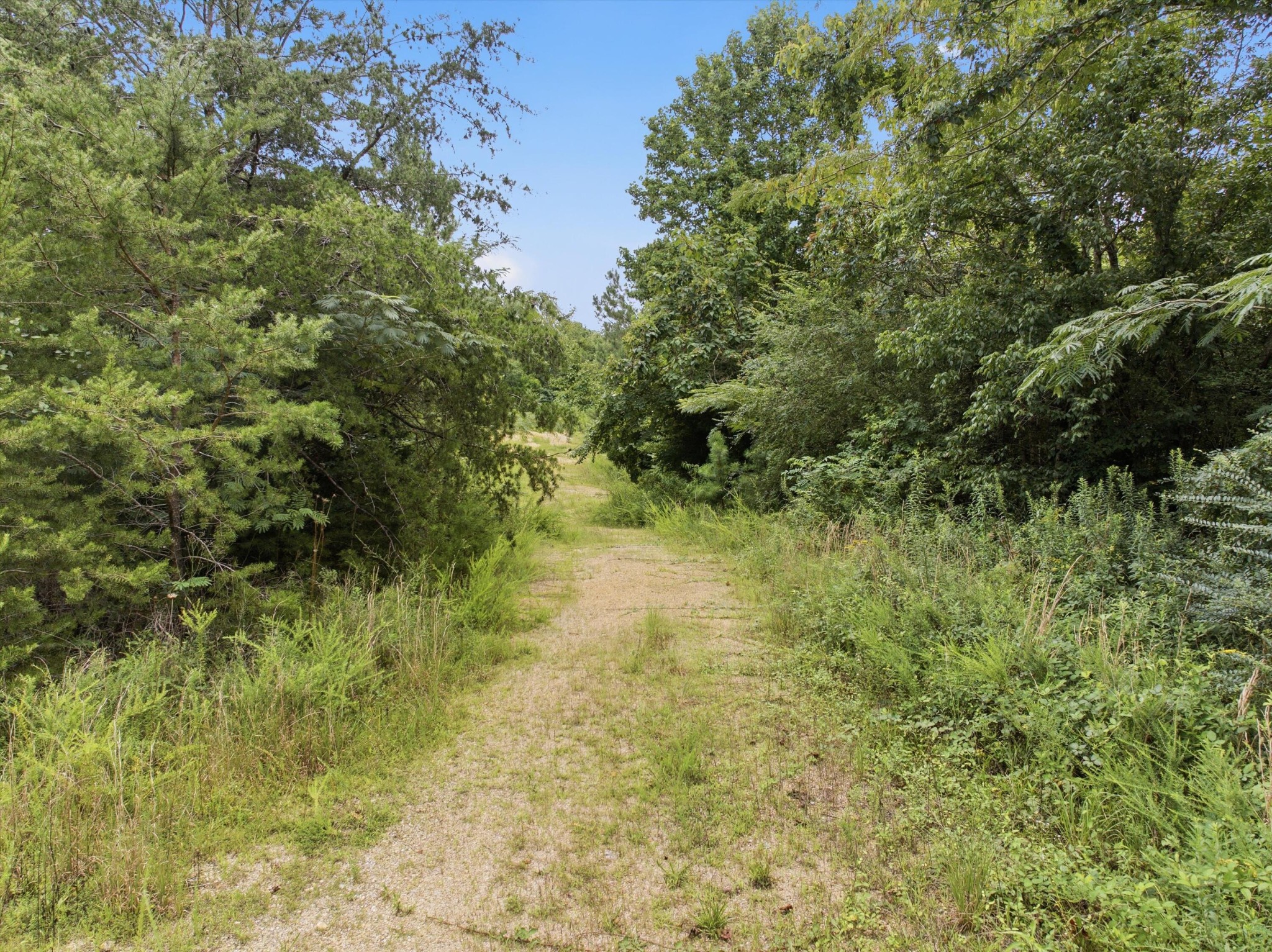 0 Arnold Road Property Photo 4