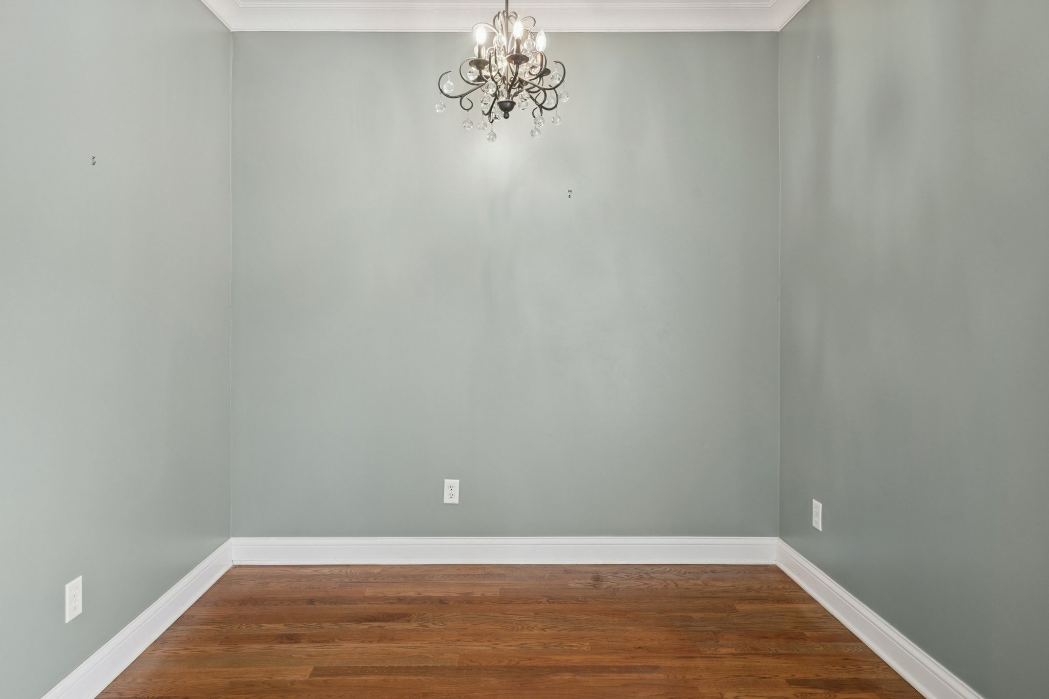 113 Timber Ridge Ct Property Photo 29