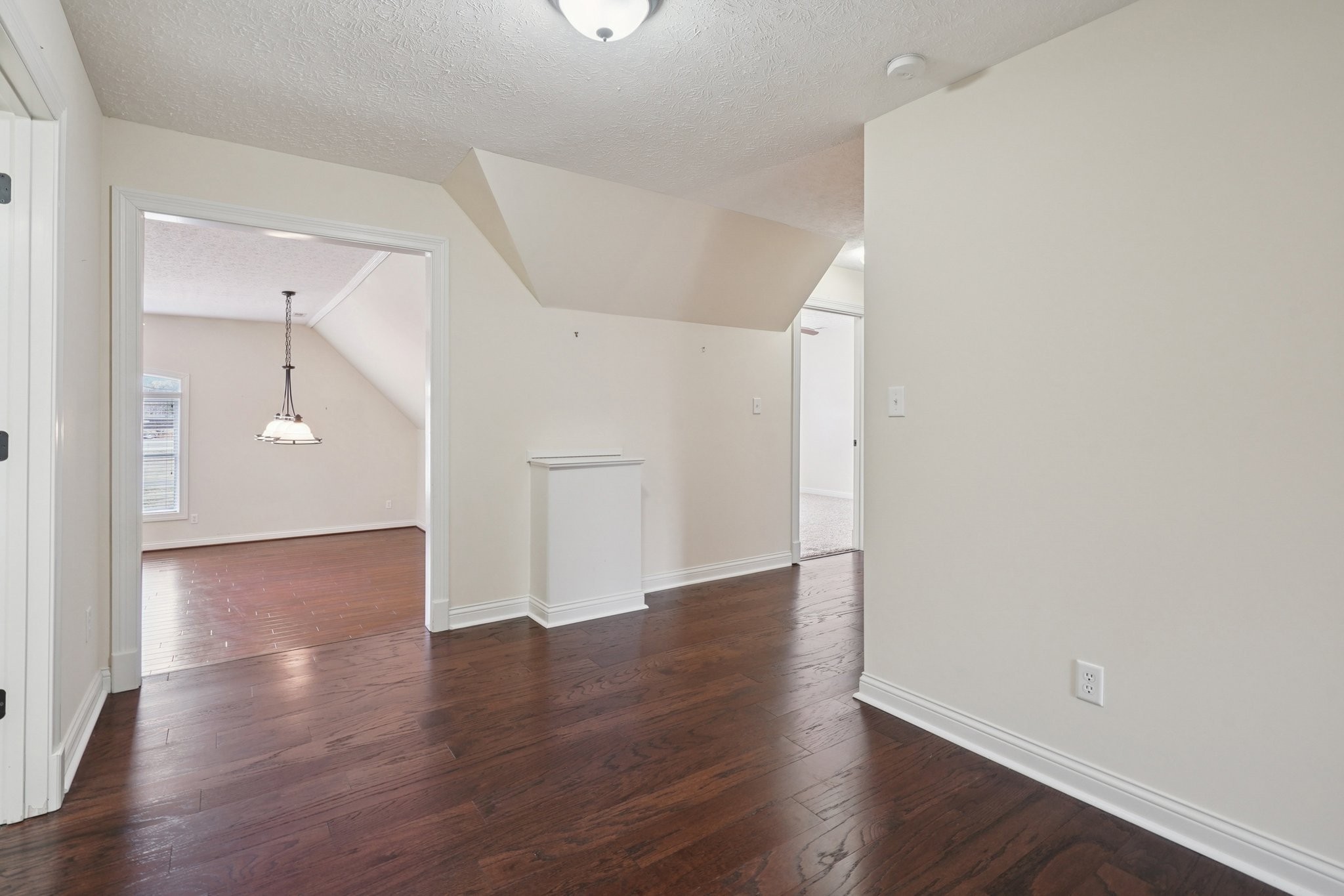 113 Timber Ridge Ct Property Photo 37